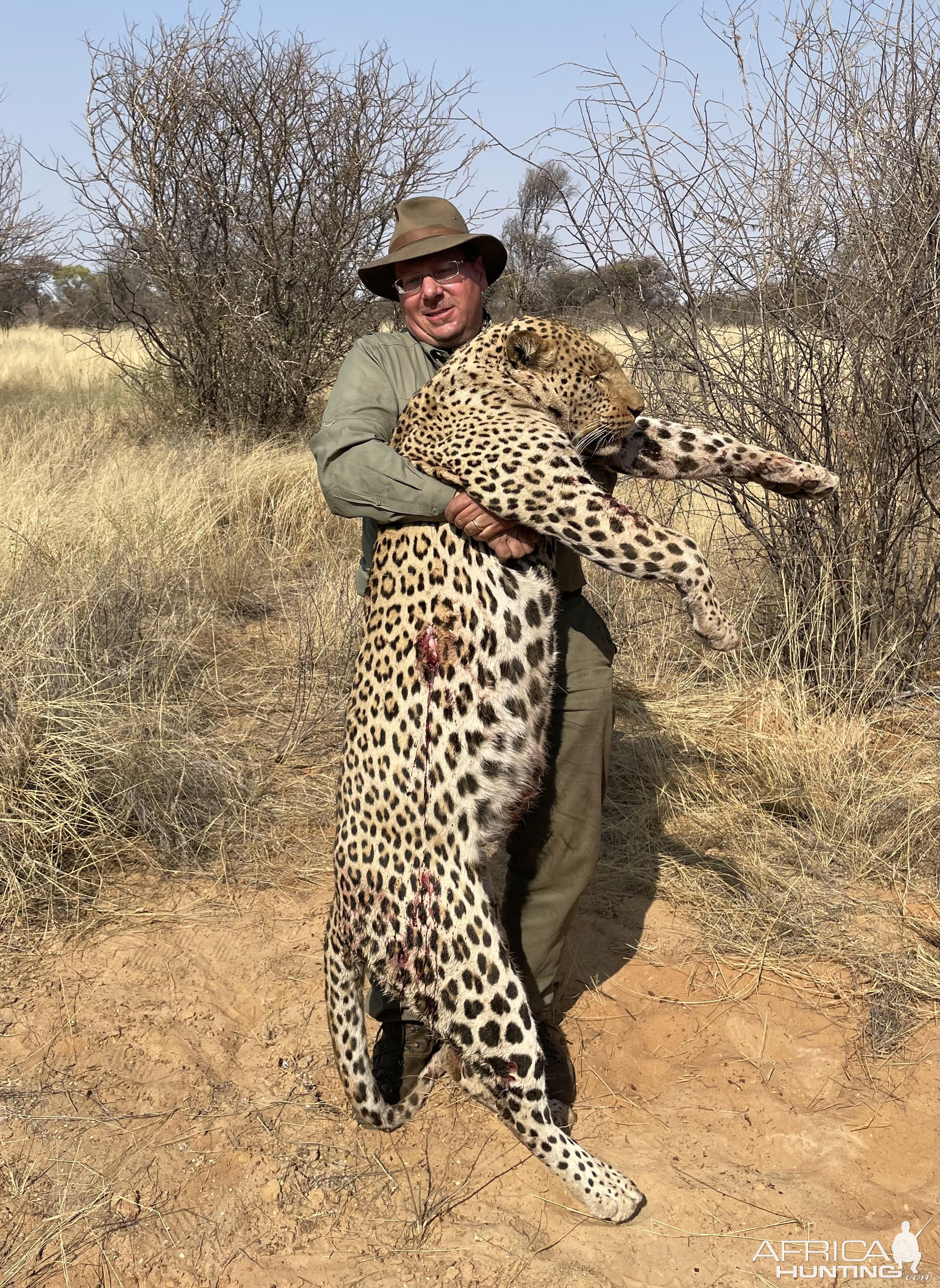 Leopard Hunt With Hounds Botswana