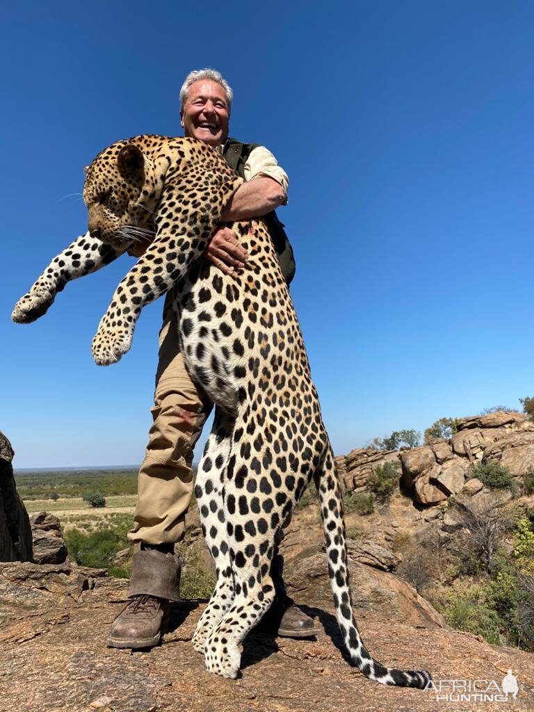 Leopard Hunting Botswana