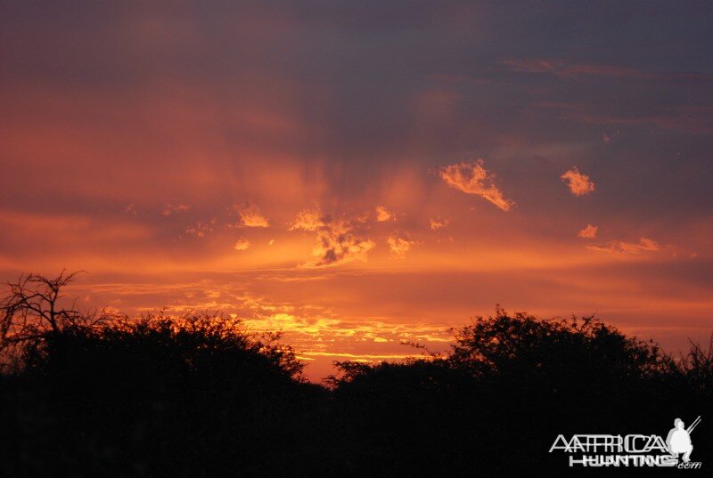 Limpopo Sunset