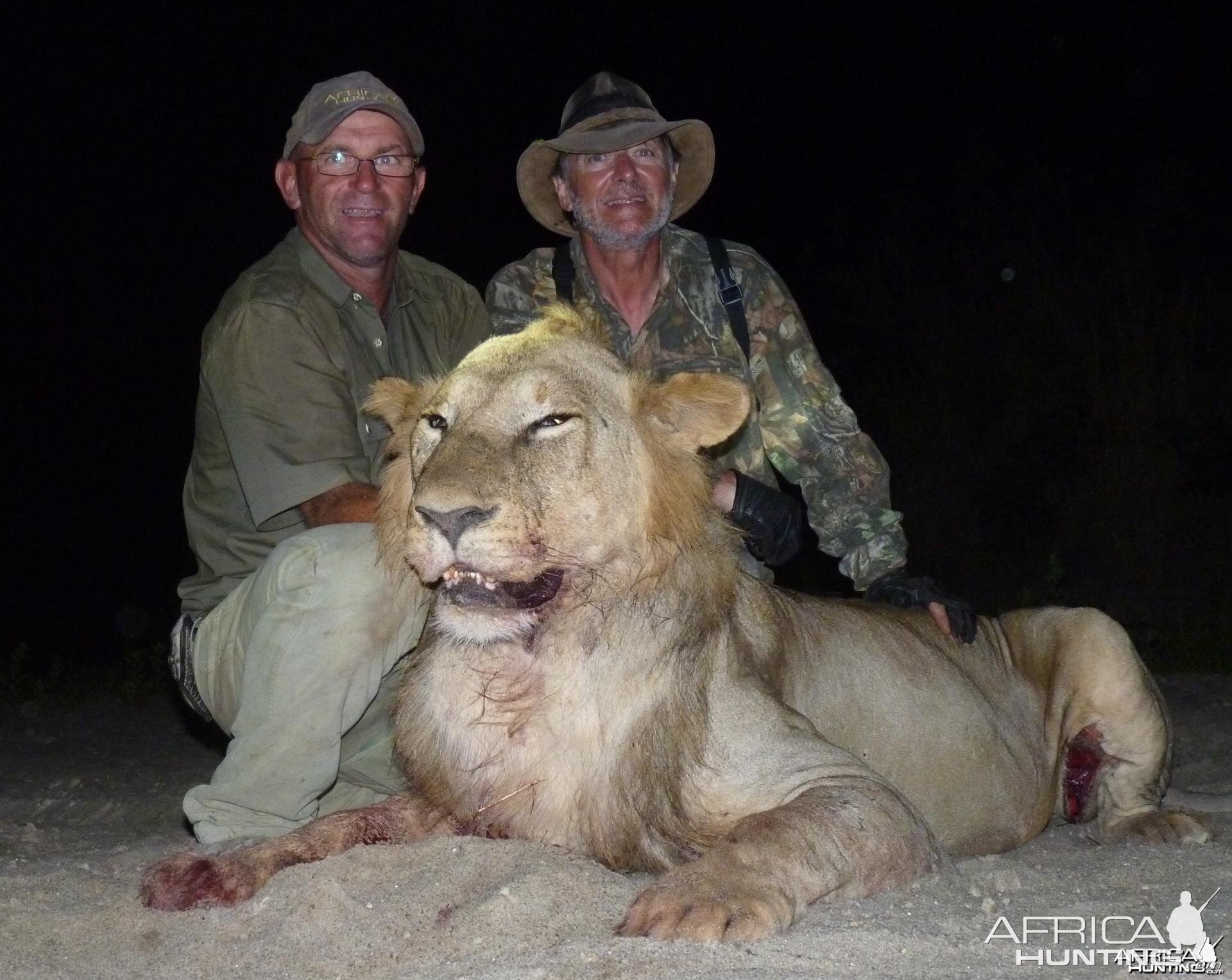 Lion hunted in the Selous, Tanzania