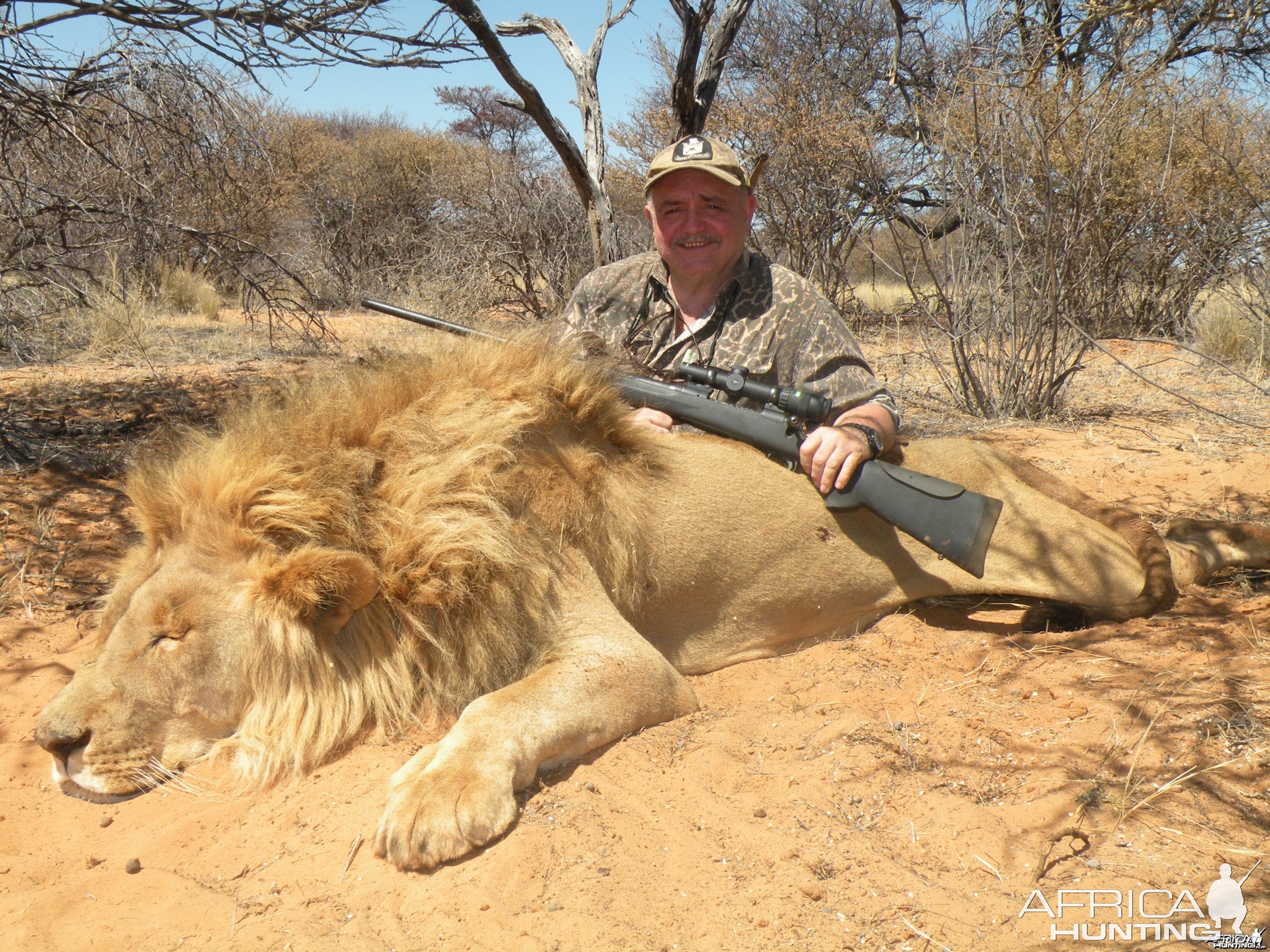 LION SOUTH AFRICAN SAFARI 2012