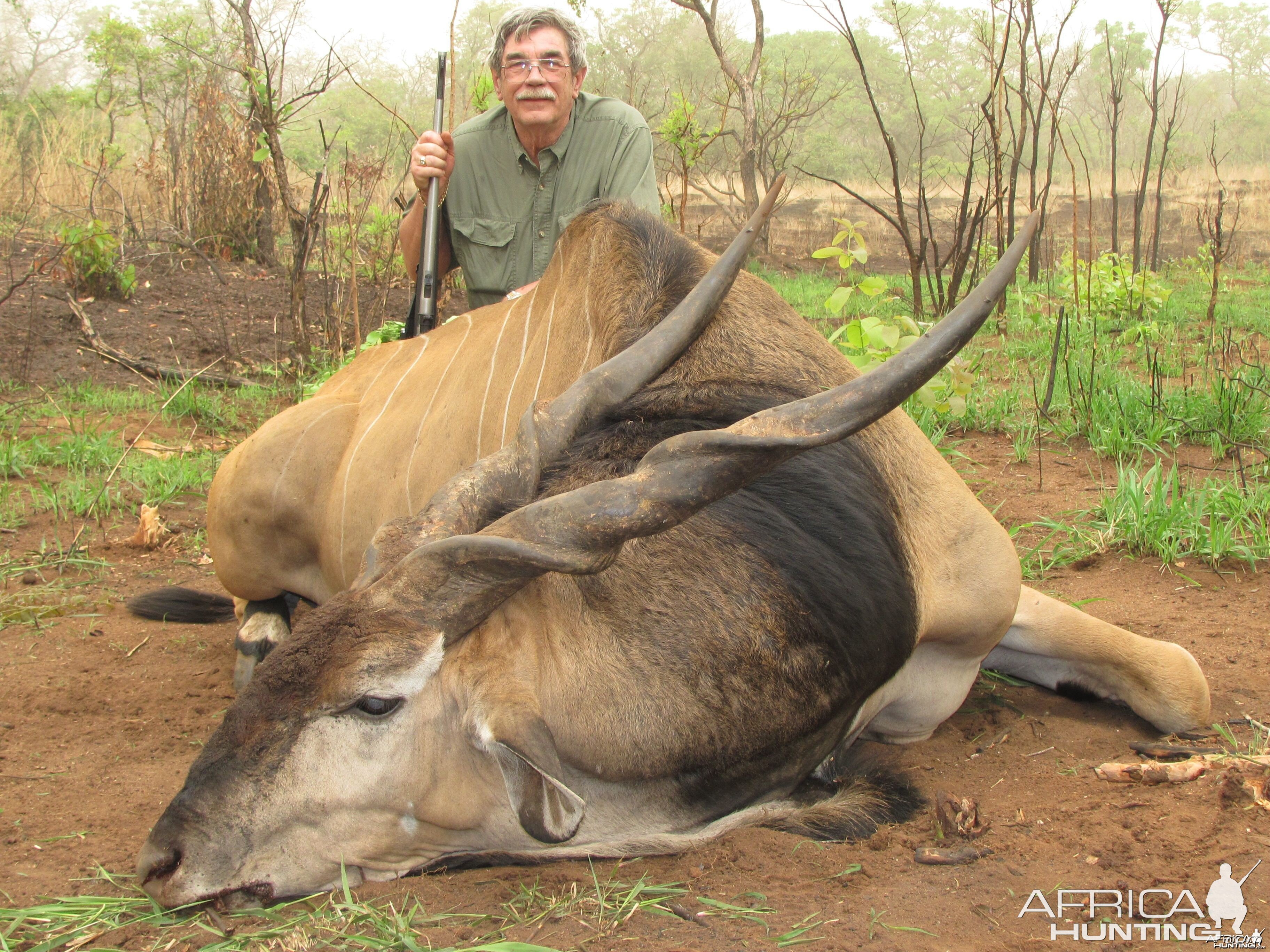 Lord Derby Eland hunted in Central Africa with Club Faune