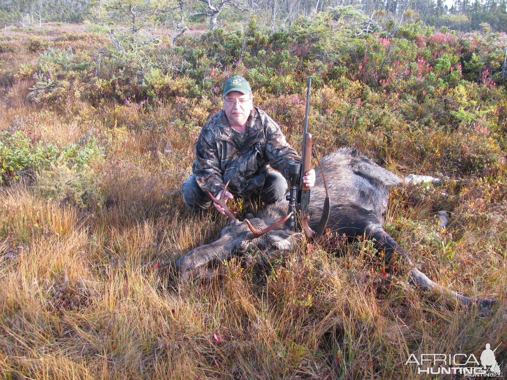 Moose chops..mmmm...yummy! Newfoundland, Canada