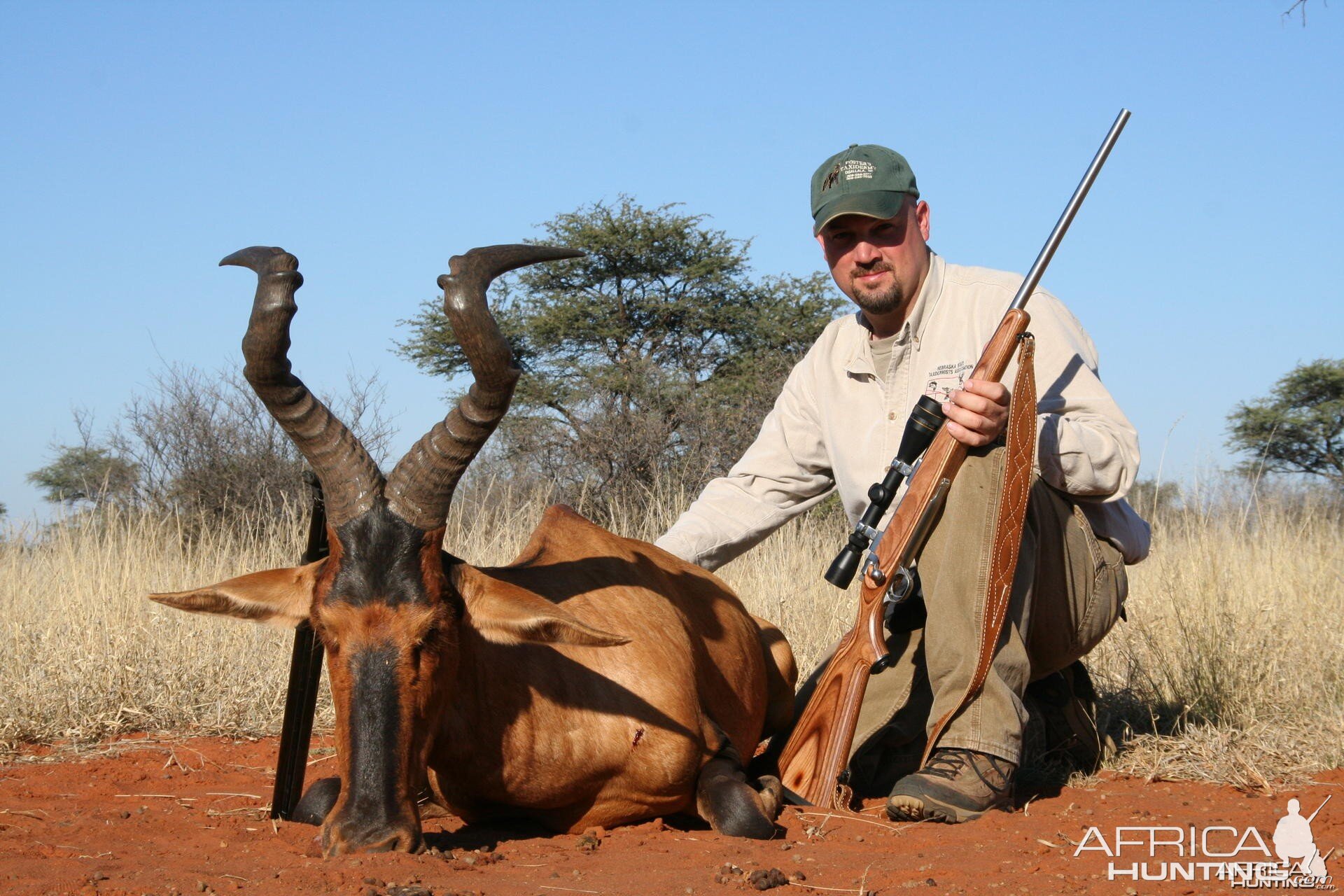 My monster South African Red Hartebeest