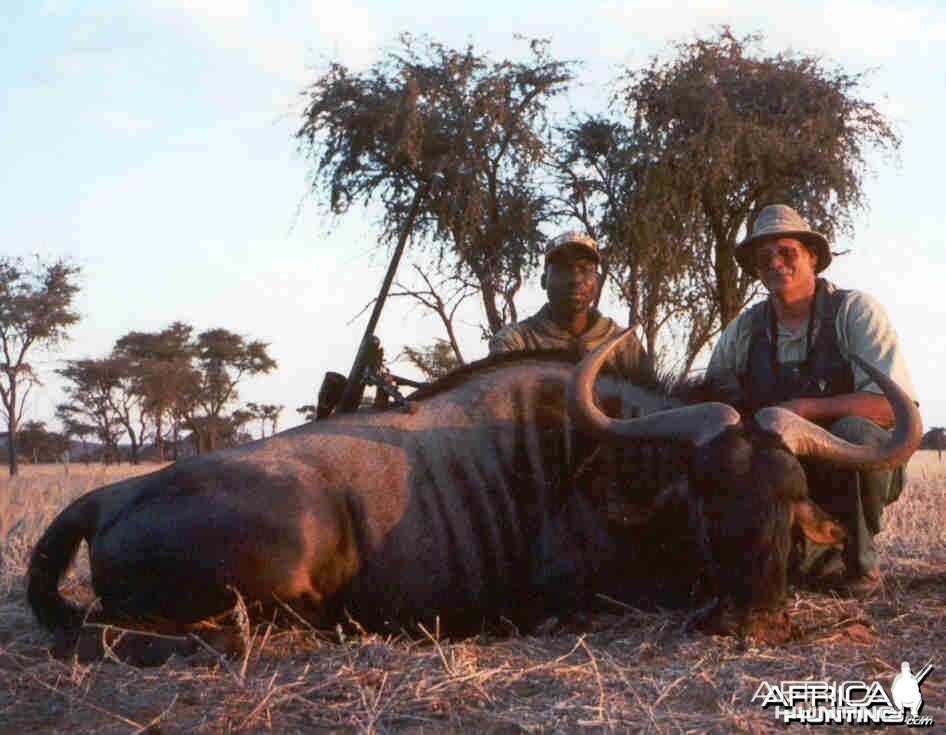 Namibia #7 Blue Wildebeest - Rifle Hunting