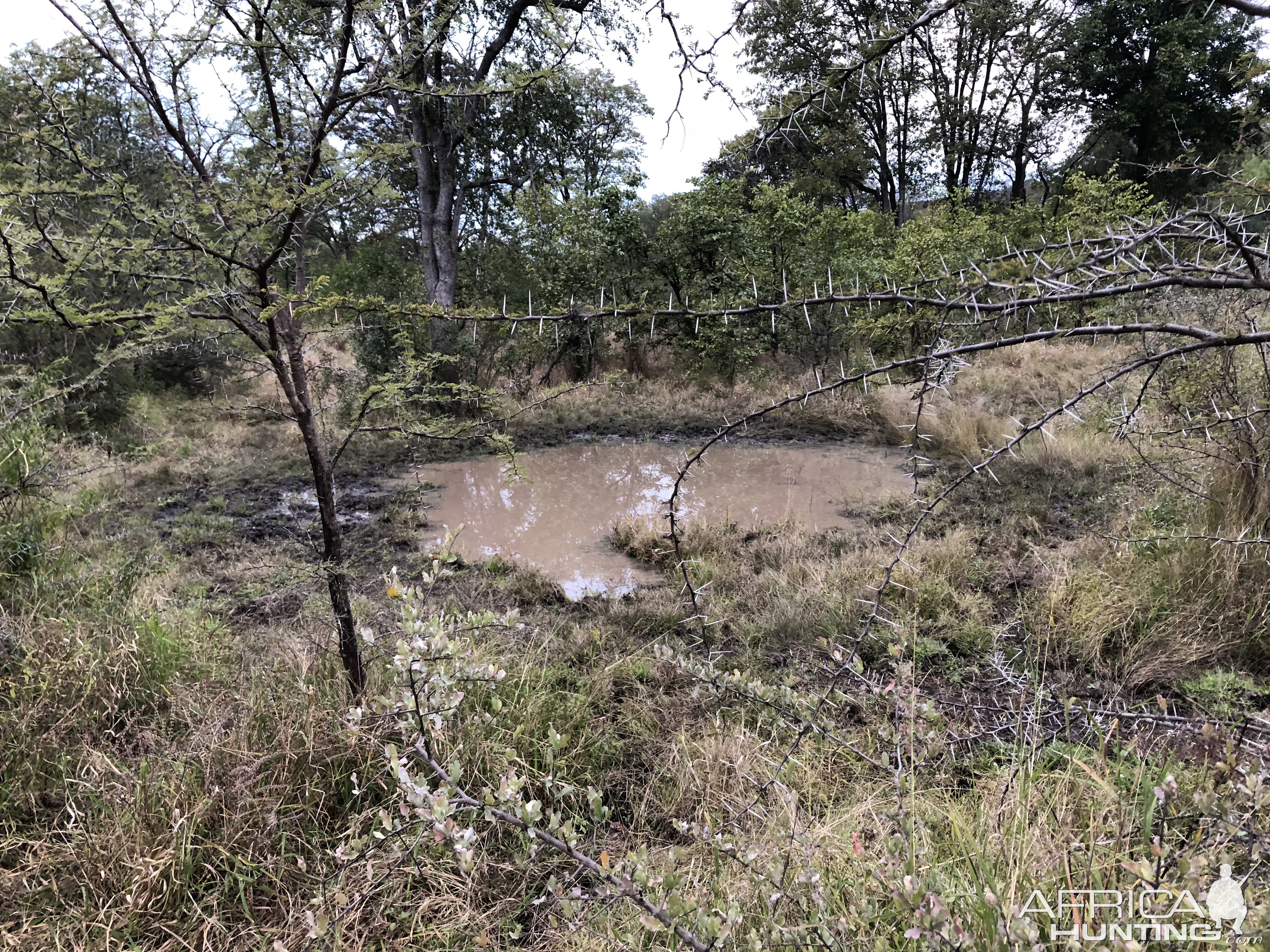 Natural Water Hole Zimbabwe