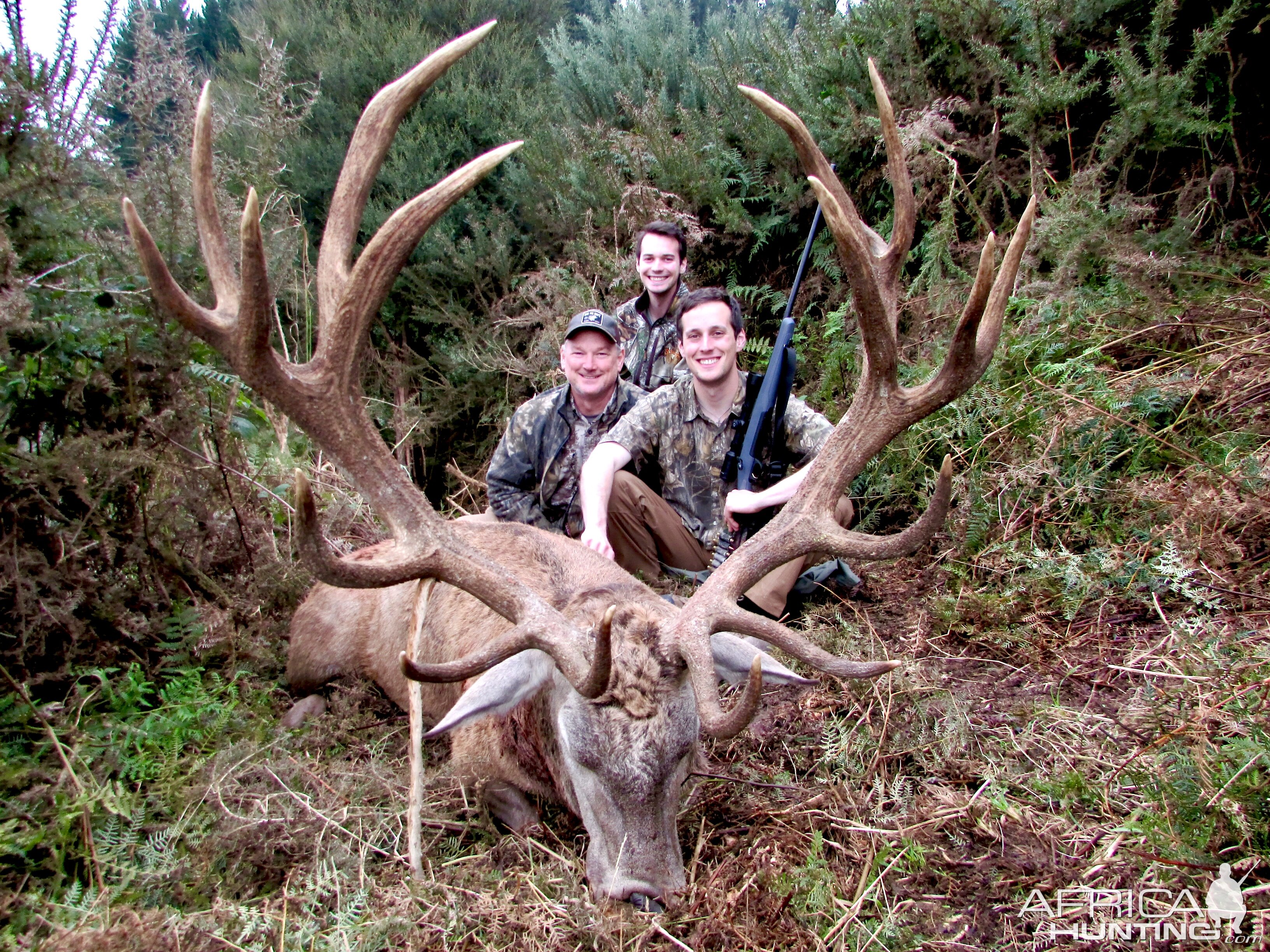 New Zealand Hunt Red Stag