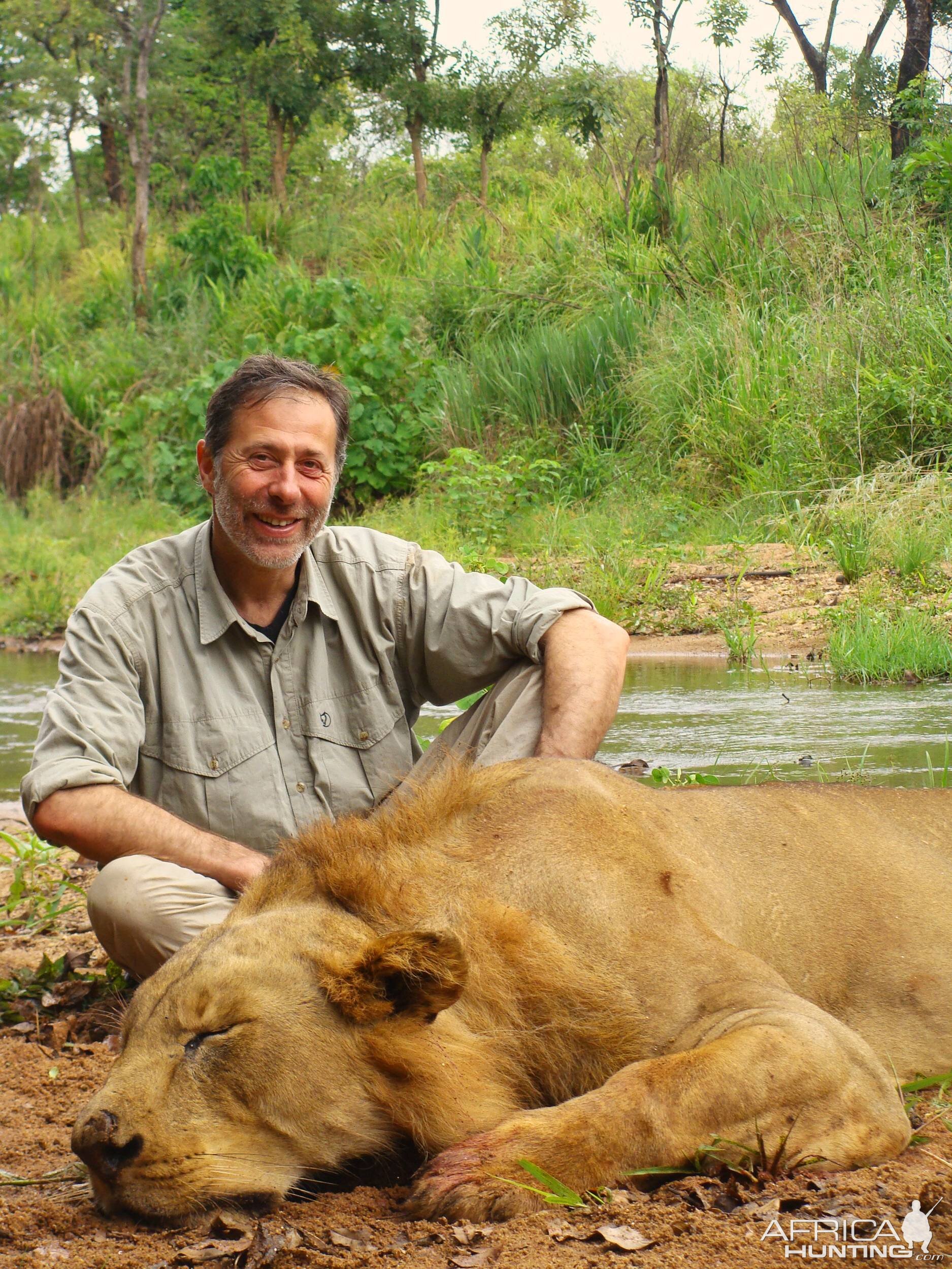 No heavy mane, but good body and an old animal