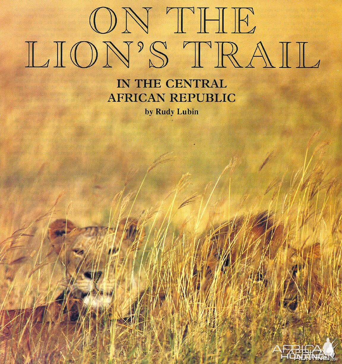 On The Lion's Trail In The Central African Republic by Rudy lubin