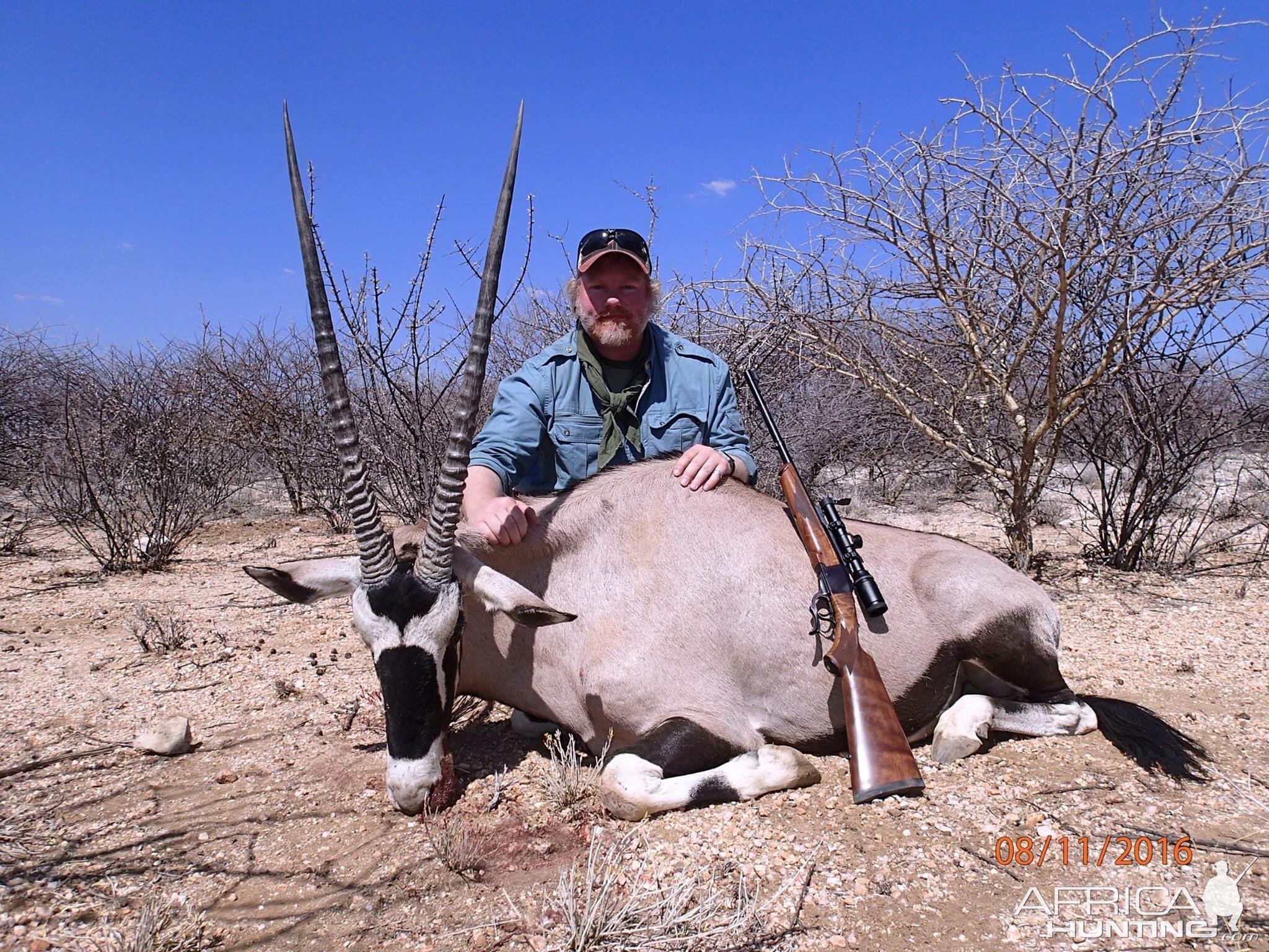 Oryx - Namibia 2016