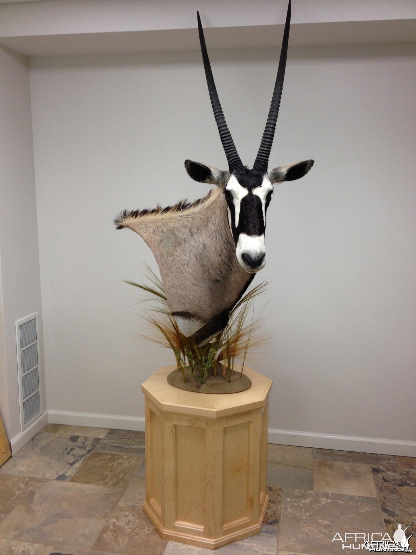 Oryx shoulder mount
