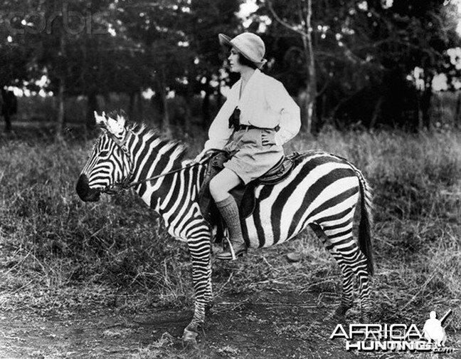 Osa Johnson riding Zebra