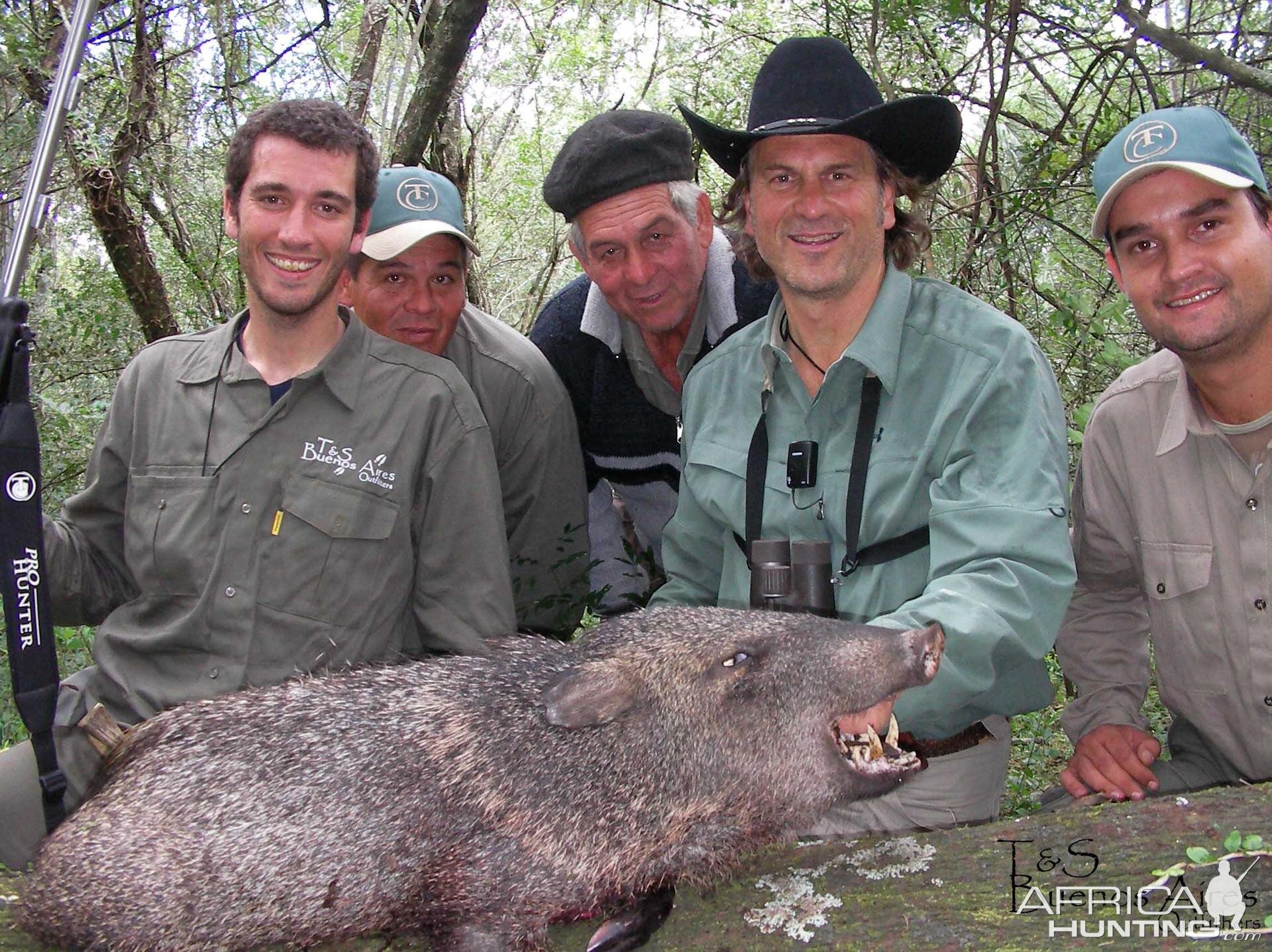 Peccary Hunting in Argentina