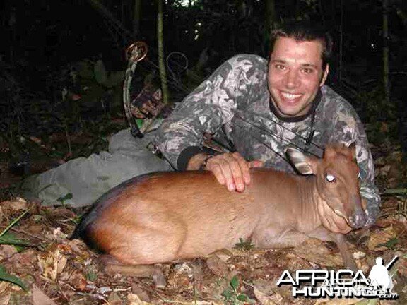 Peter's Duiker Bowhunting