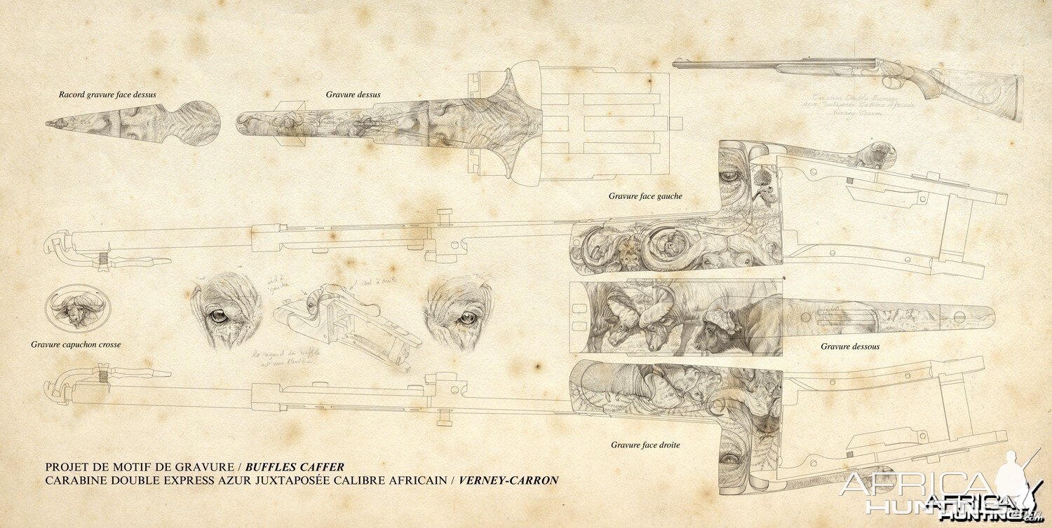 Plan for Cape Buffalo Engraving on Double Rifle