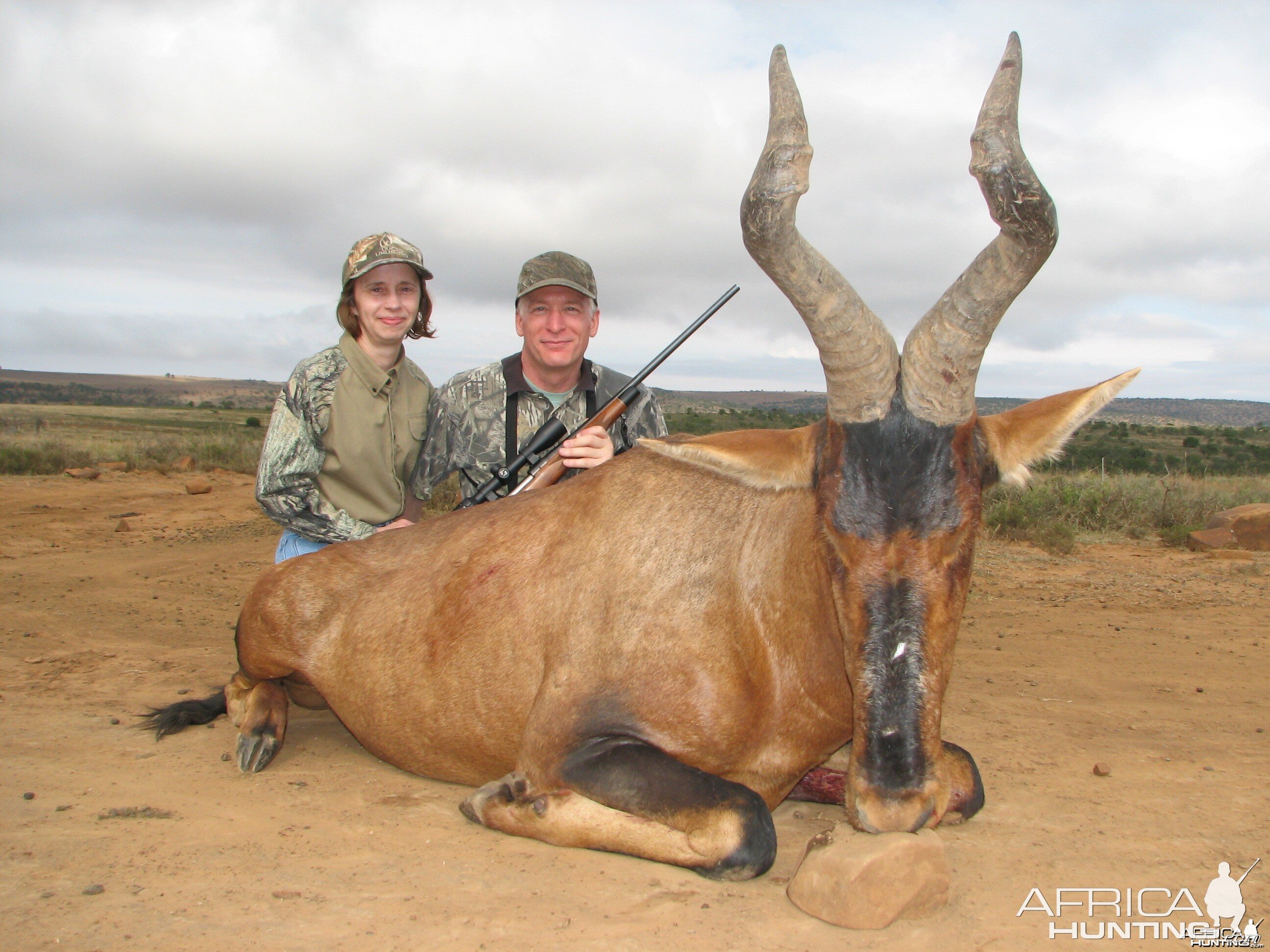 Red Hartebeest hunted with Andrew Harvey Safaris