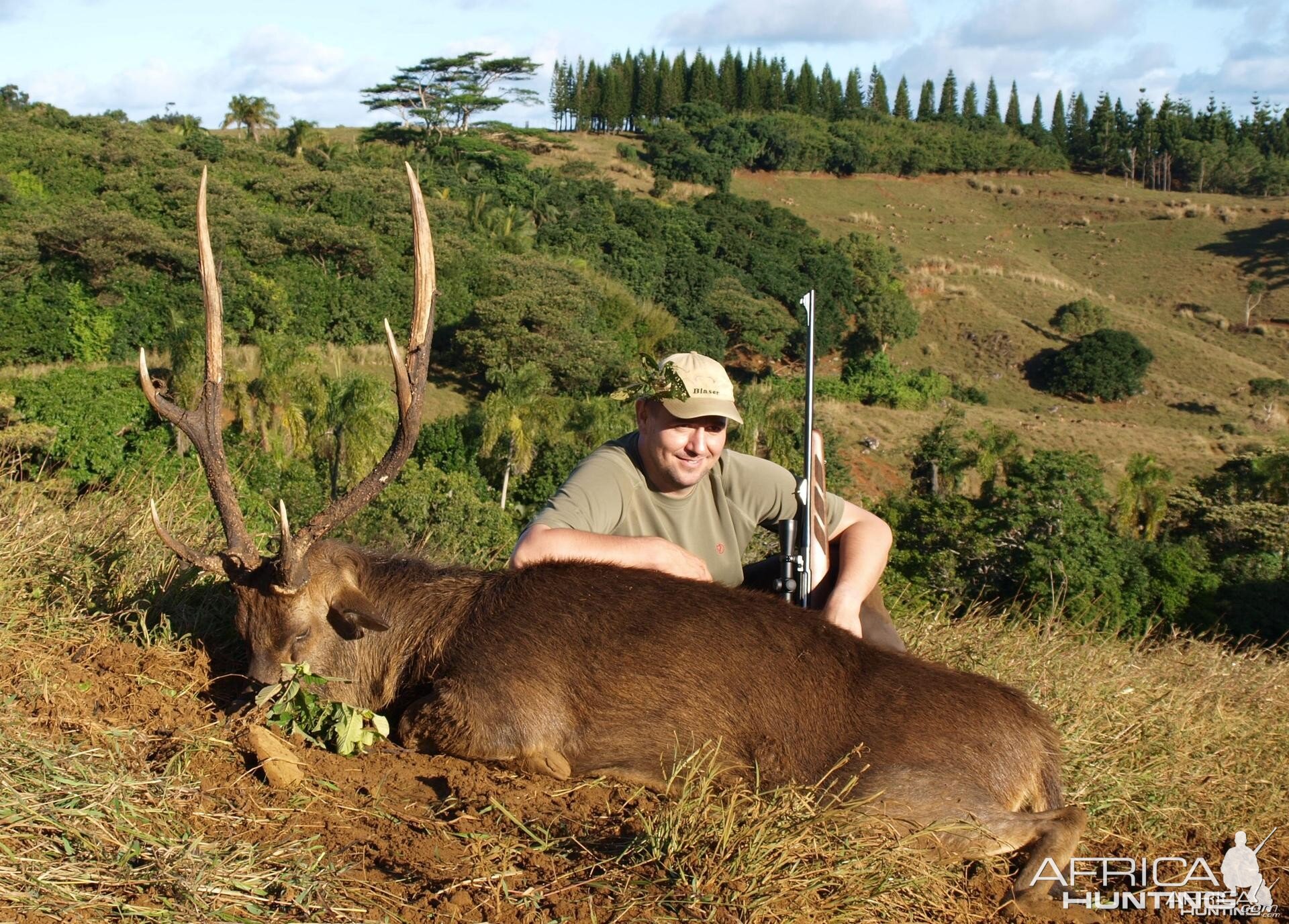 Rusa deer hunted in Mauritius