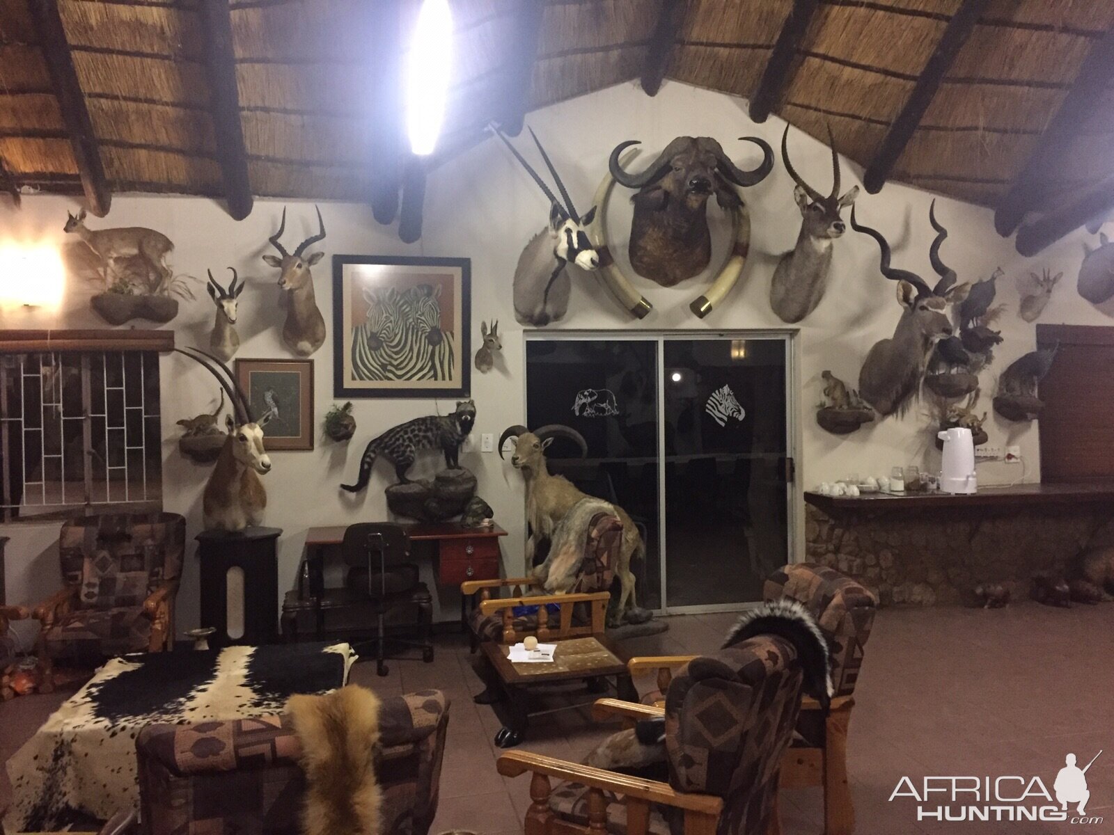 Safaris Trophy room and relaxing area