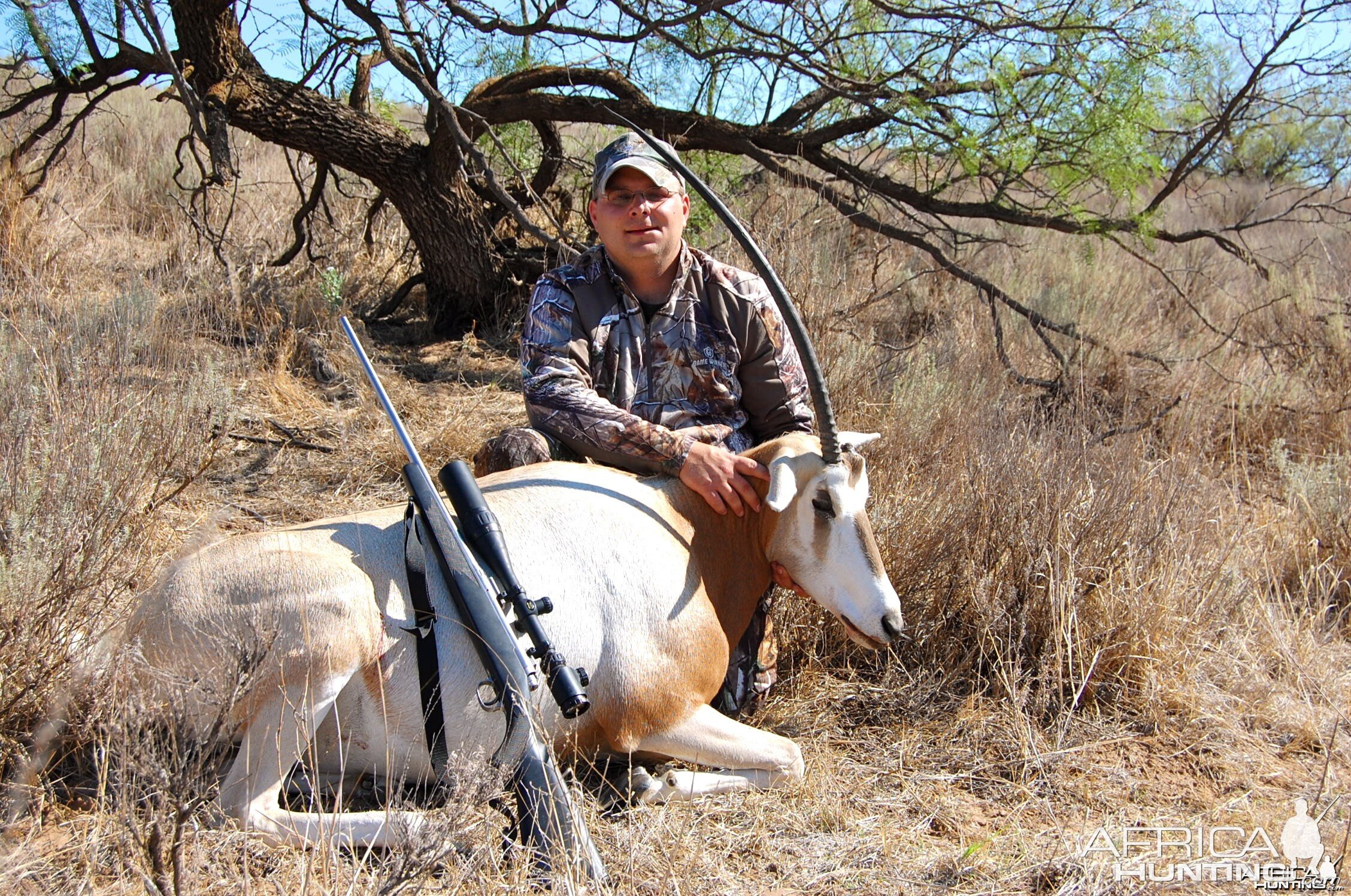 Scimitar Oryx