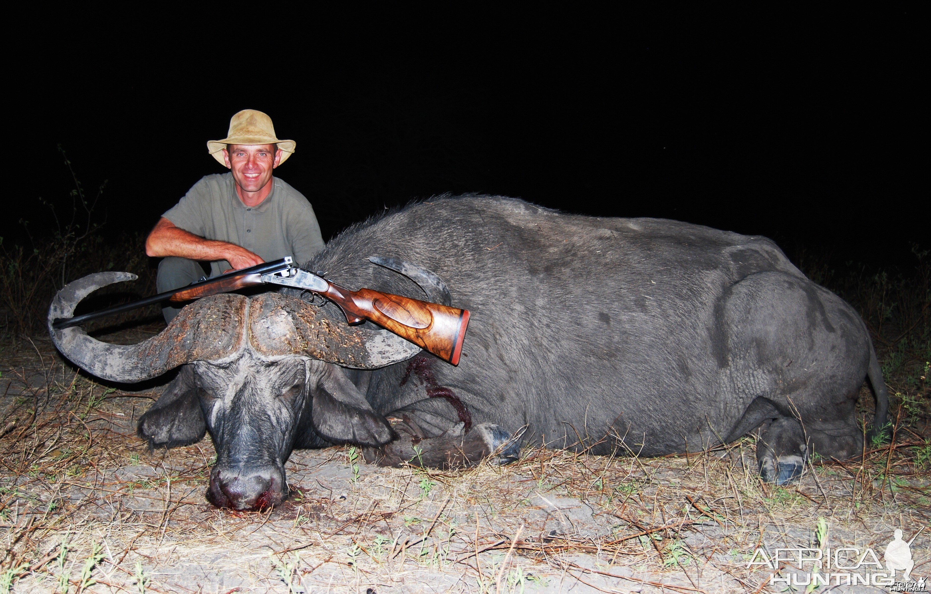 Selous Buffalo