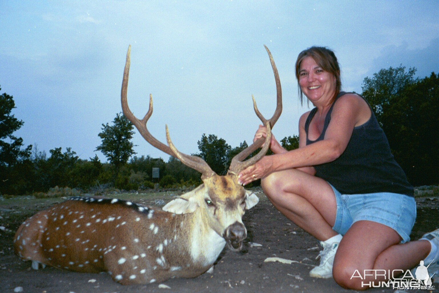 Sonora, TX Sandy's Axis buck 2009