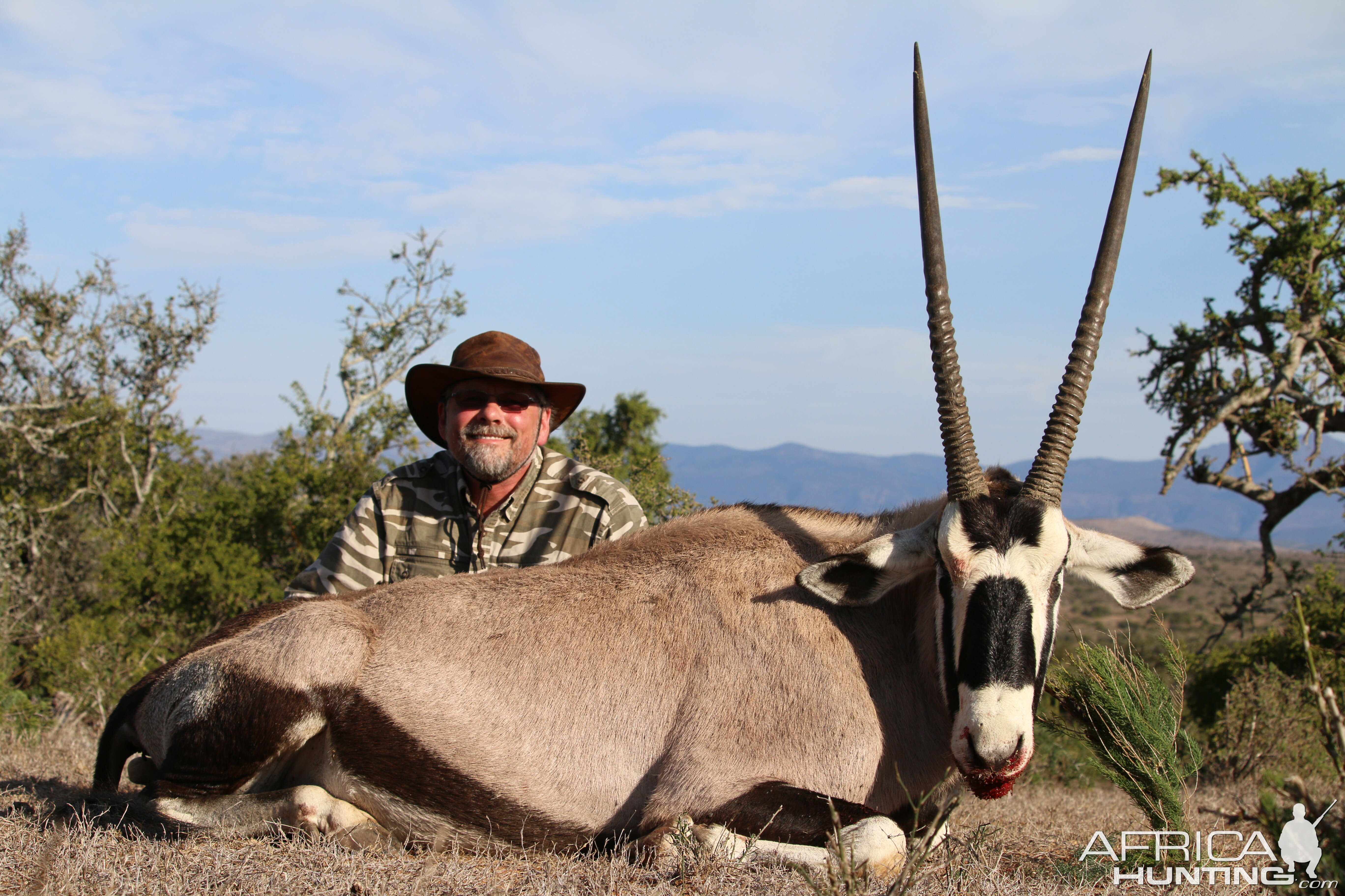 South Africa Gemsbuck Hunt