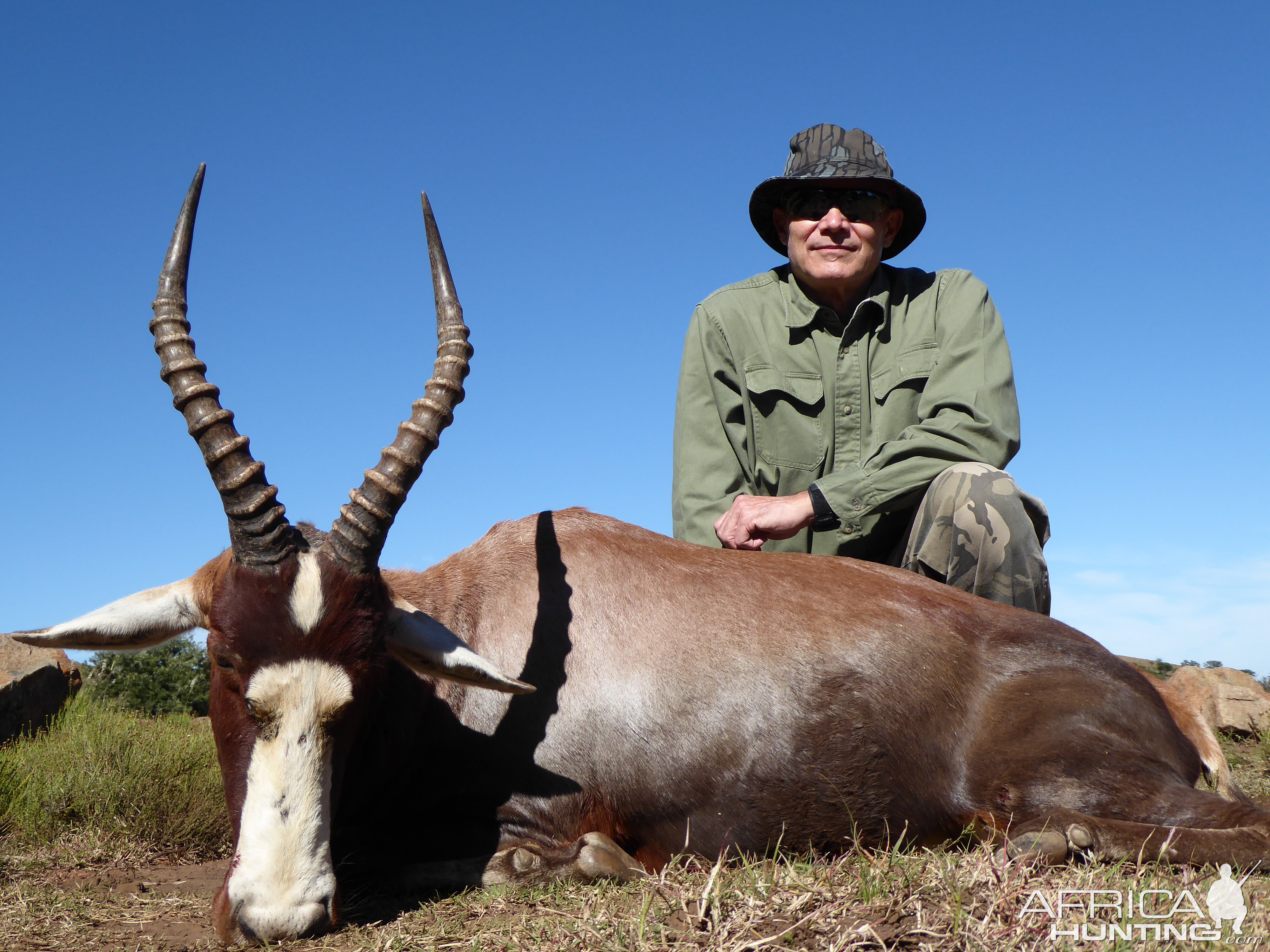 South Africa Hunt Blesbok