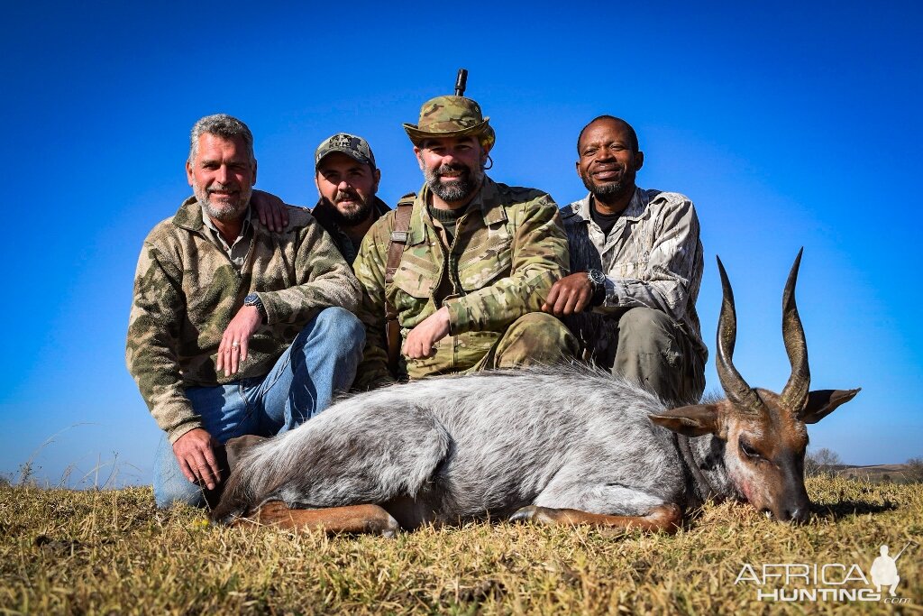 South Africa Hunt "White" Bushbuck