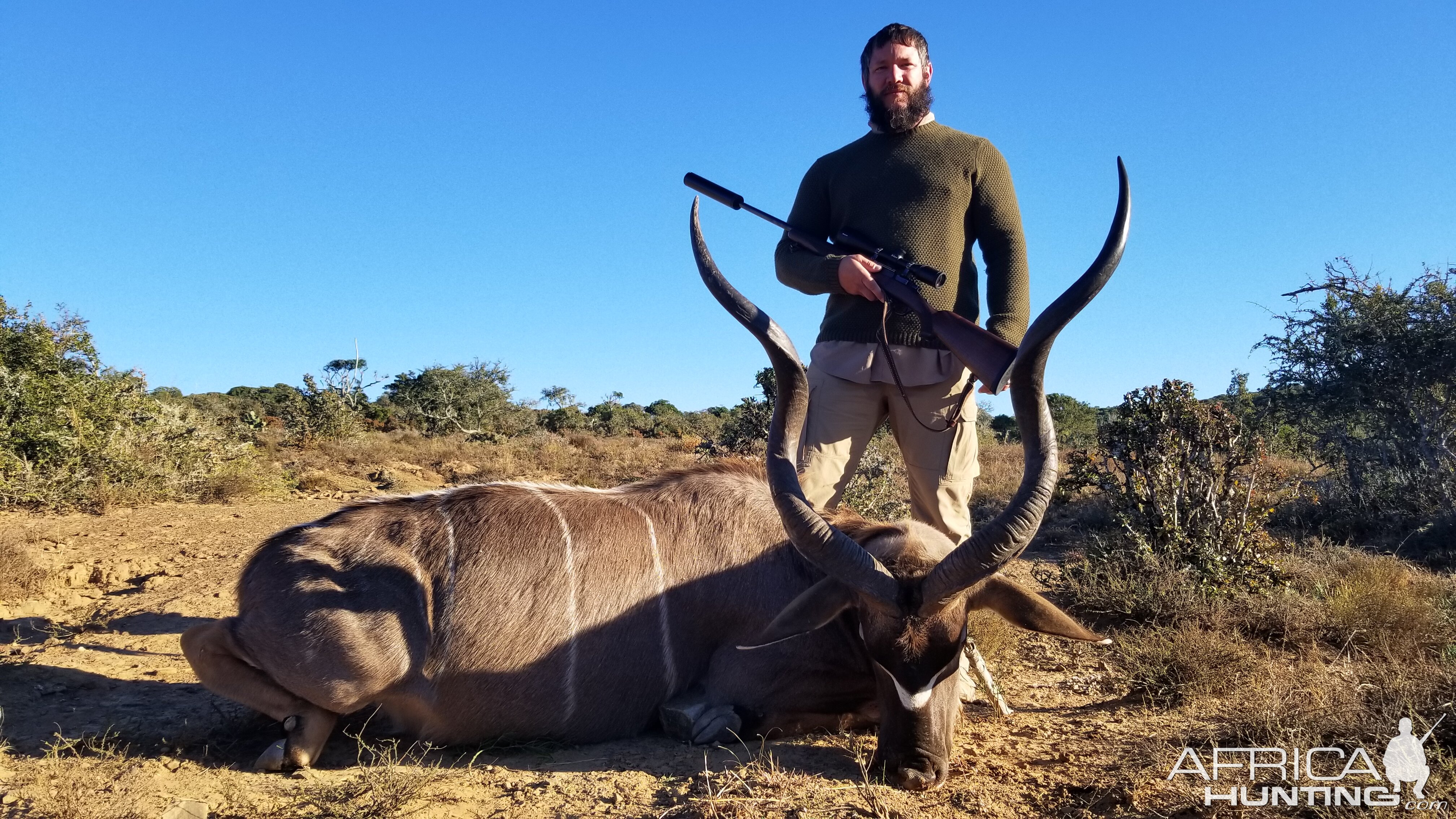 South Africa Kudu