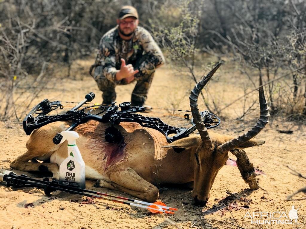 Southern Impala “Aepyceros Melampus” Bowhunting South Africa