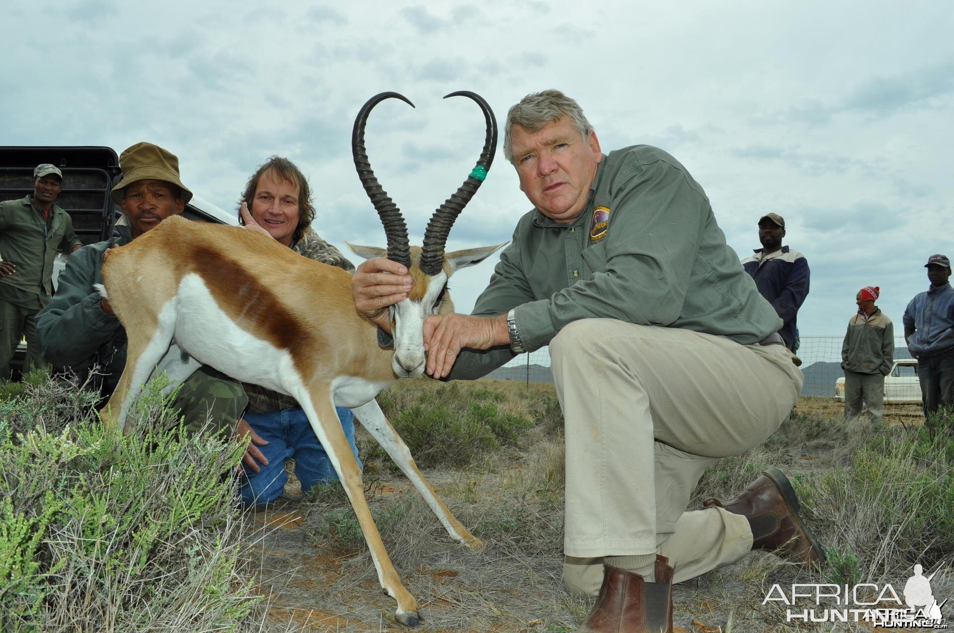 Springbok at Jules of the Karoo