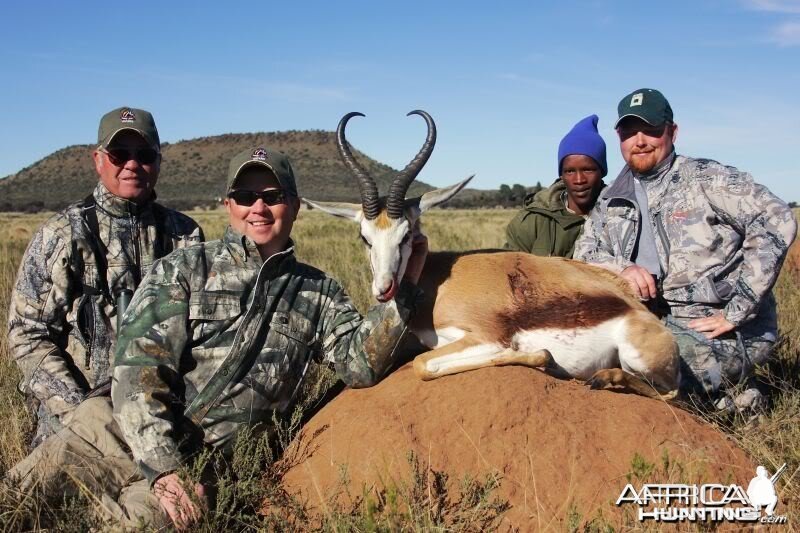 Springbok hunted in South Africa