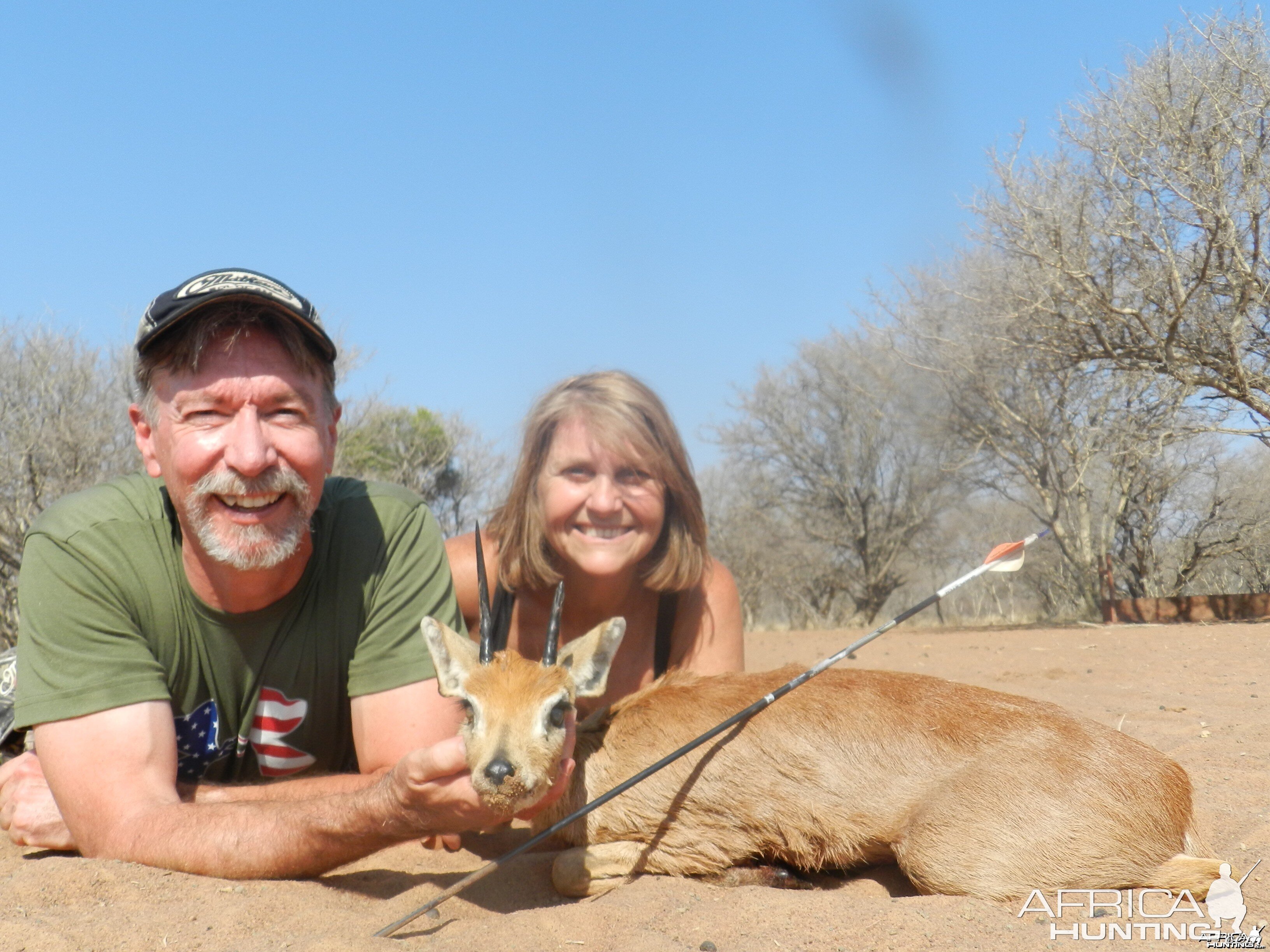 Steenbok