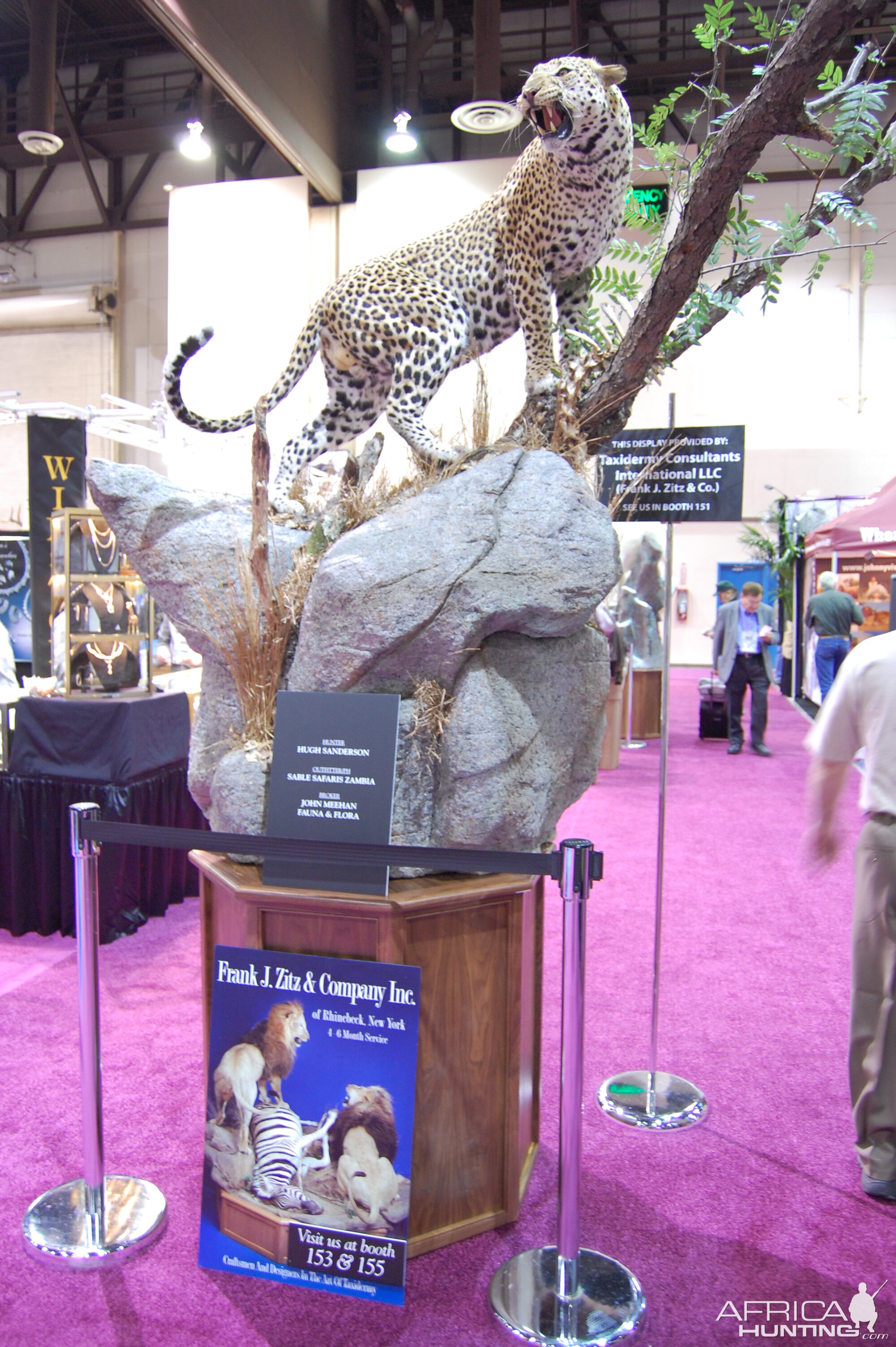 Taxidermy at Safari Club International Convention