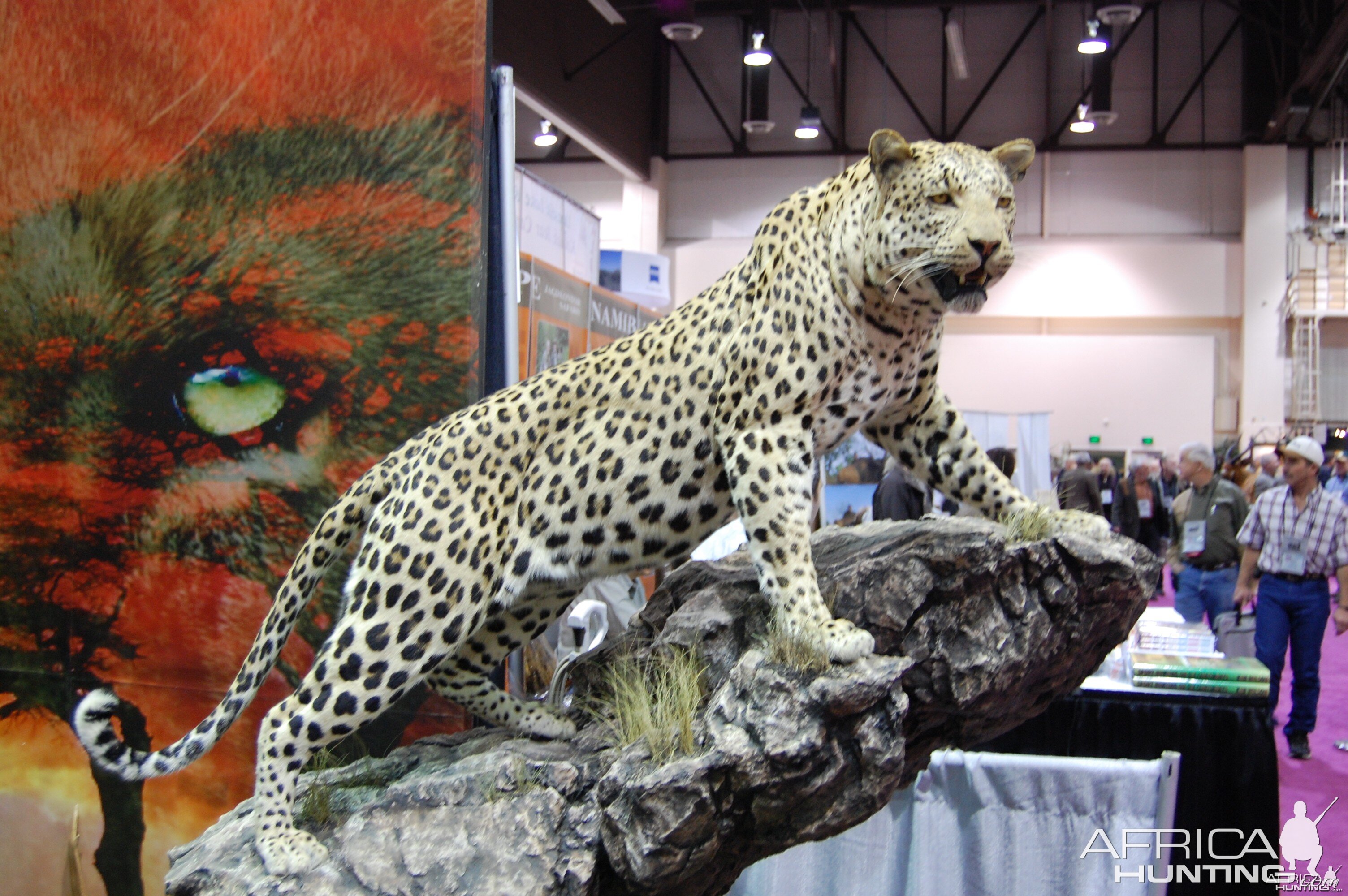 Taxidermy at Safari Club International Convention