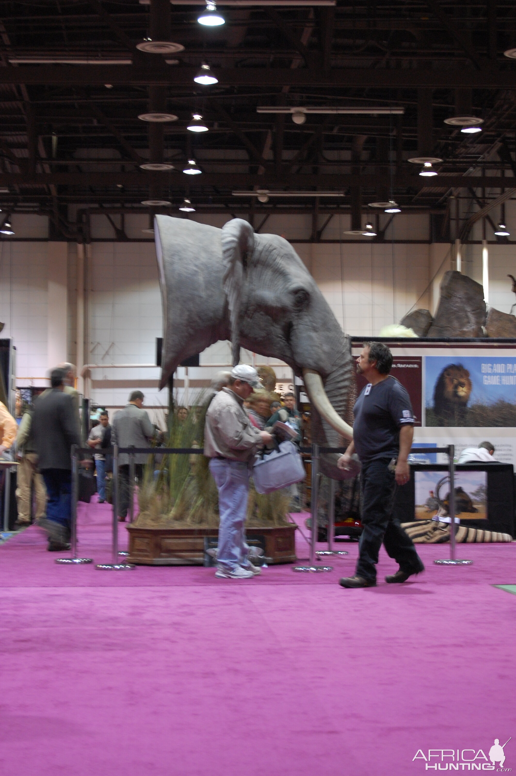 Taxidermy at Safari Club International Convention