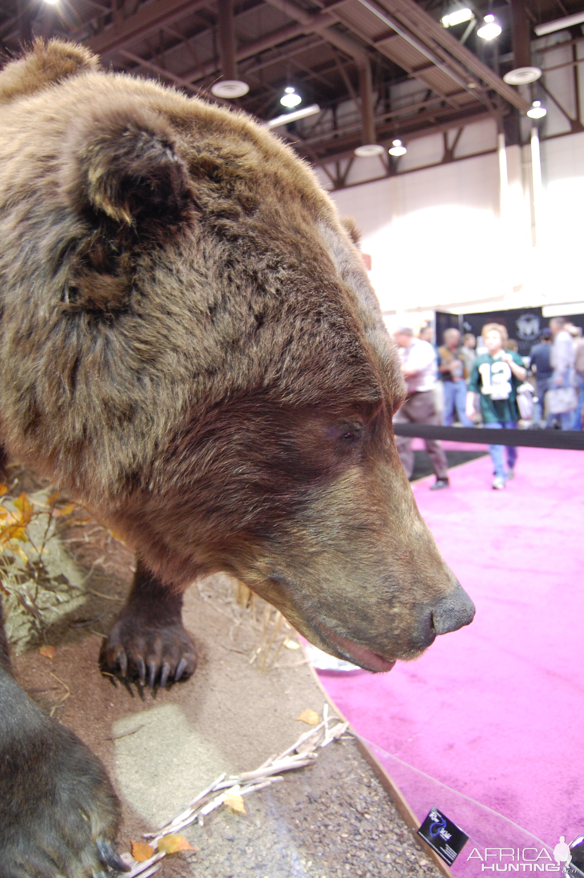 Taxidermy at Safari Club International Convention