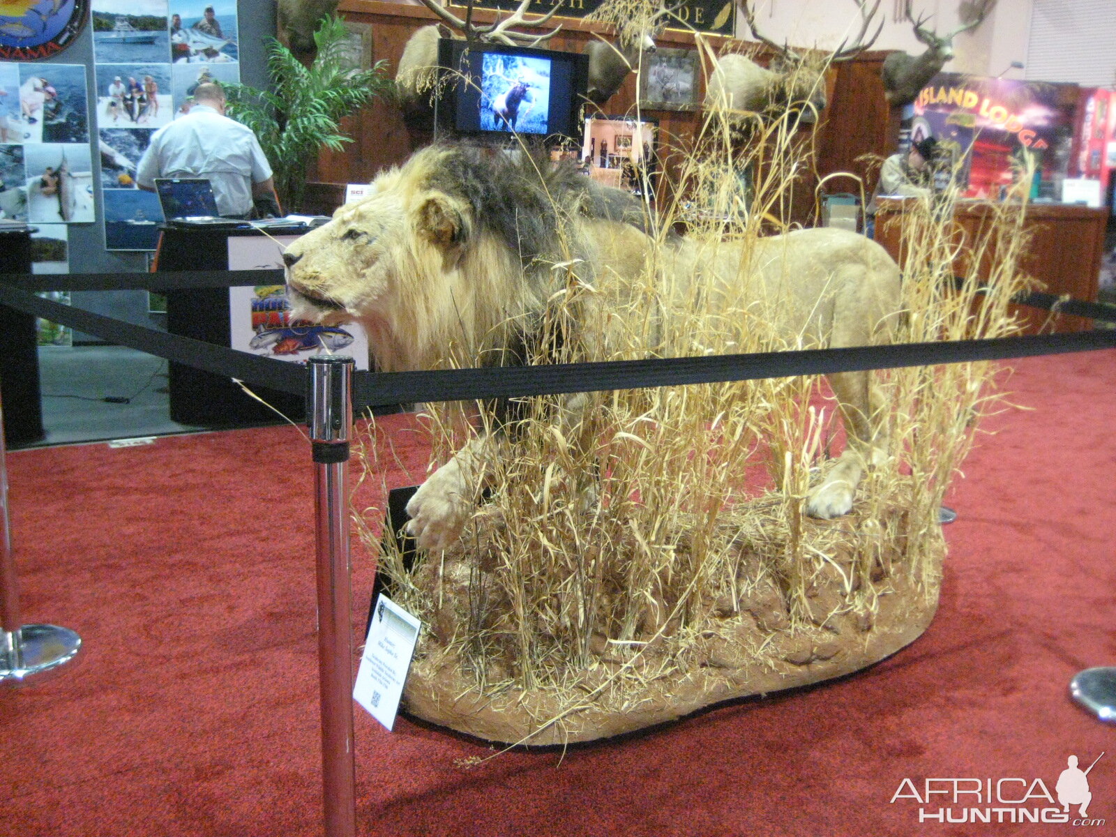 Taxidermy at Safari Club International Convention