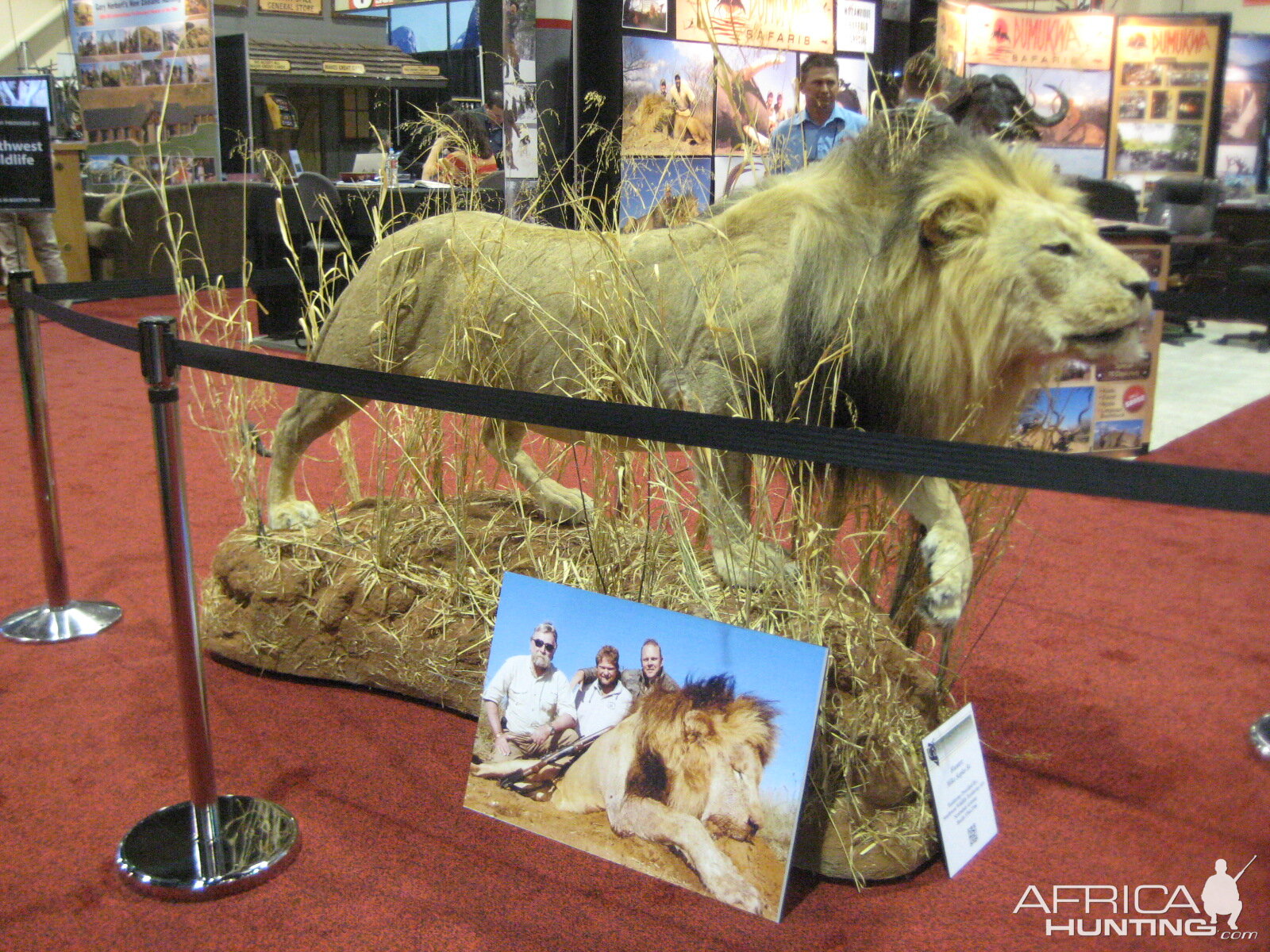 Taxidermy at Safari Club International Convention