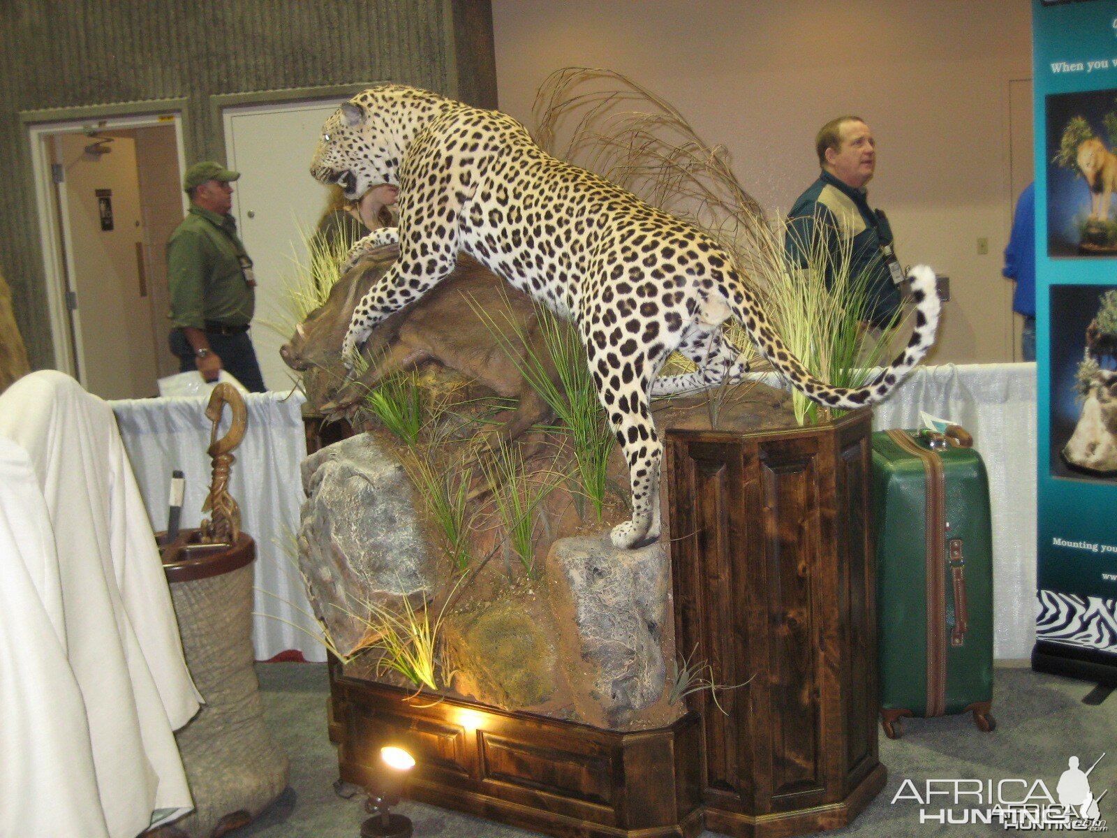 Taxidermy at Safari Club International Convention