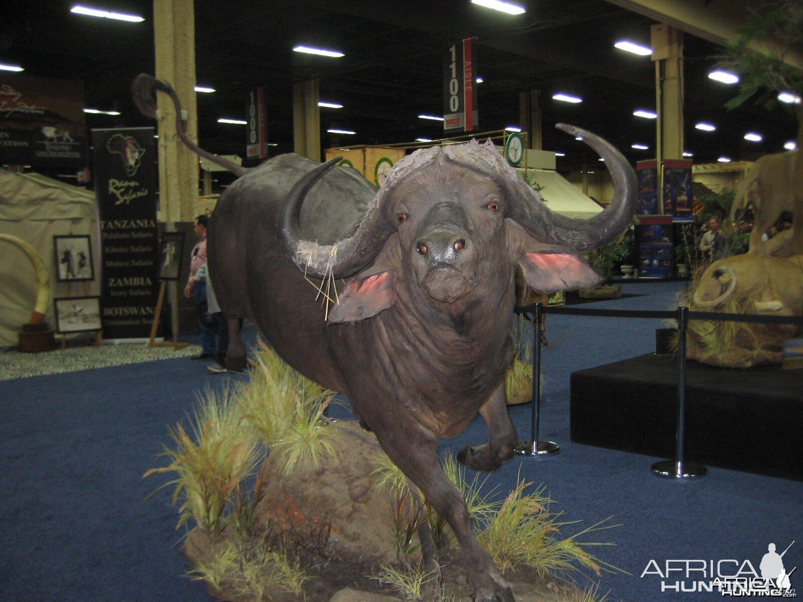 Taxidermy at Safari Club International Convention