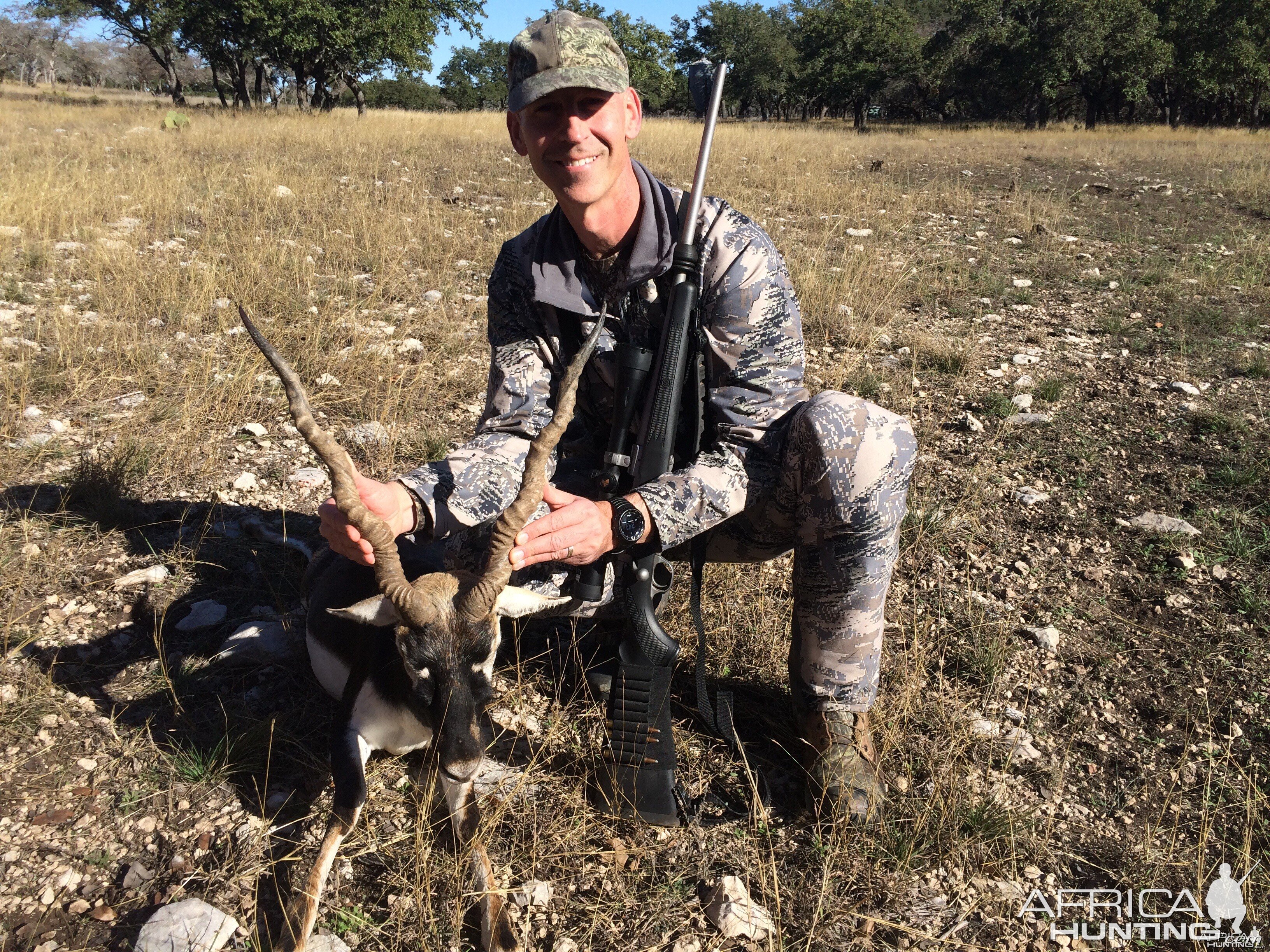 Texas free range blackbuck