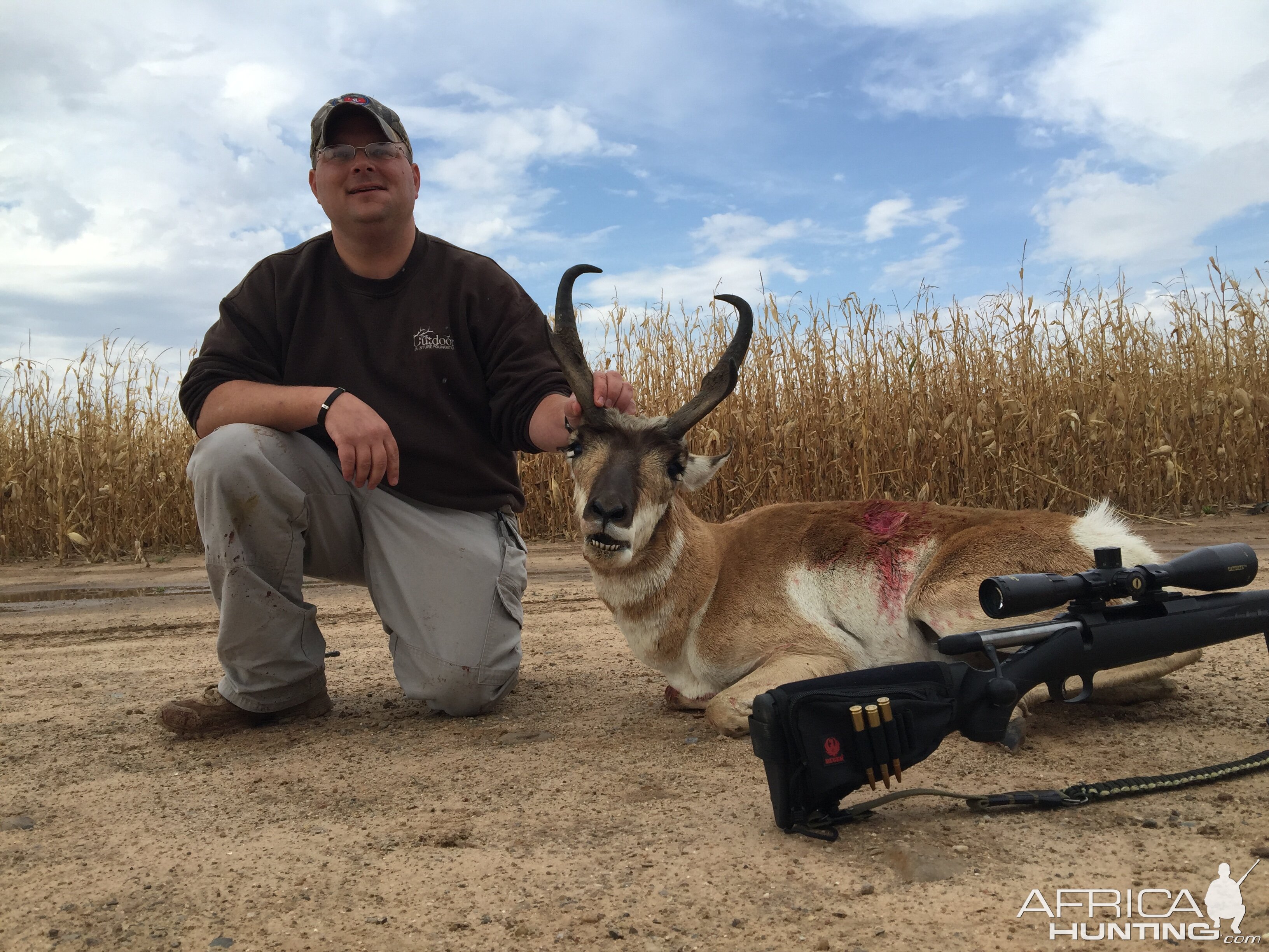 Texas panhandle pronghorn