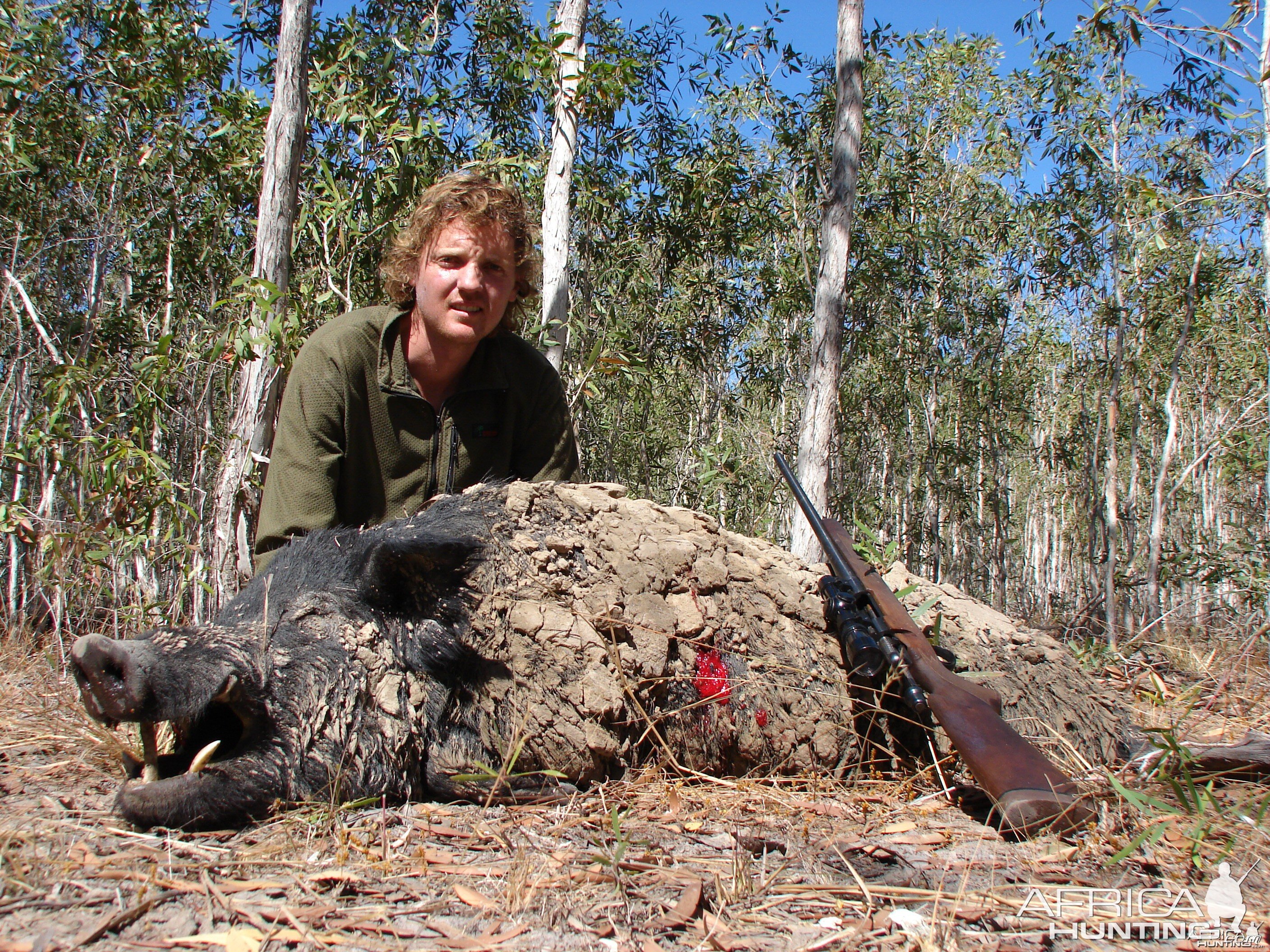 Trophy Boar Hunted in Australia