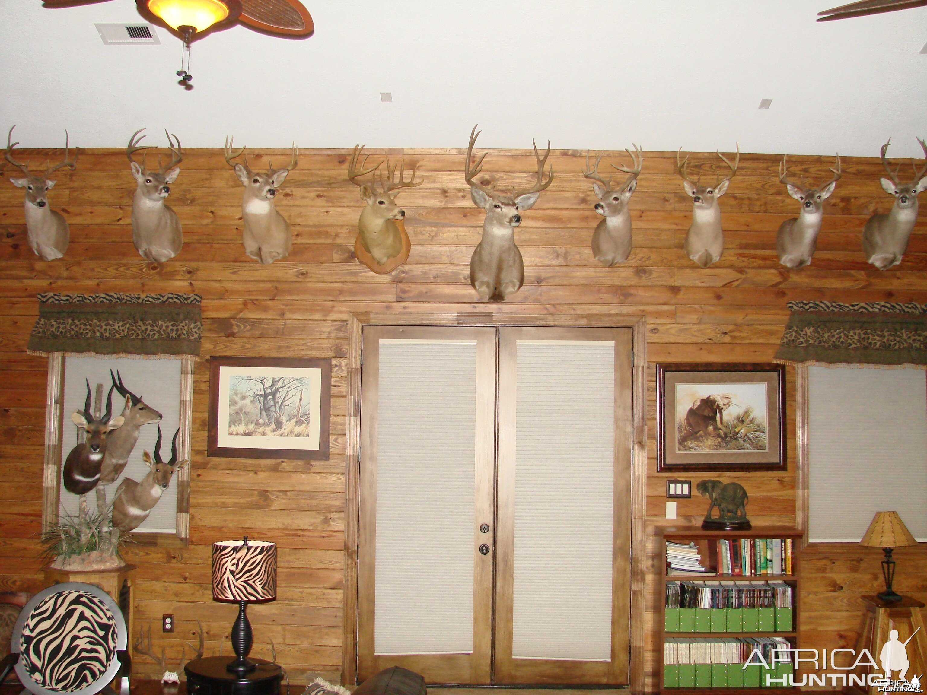 Trophy Room - Whitetail/Mule Deer wall