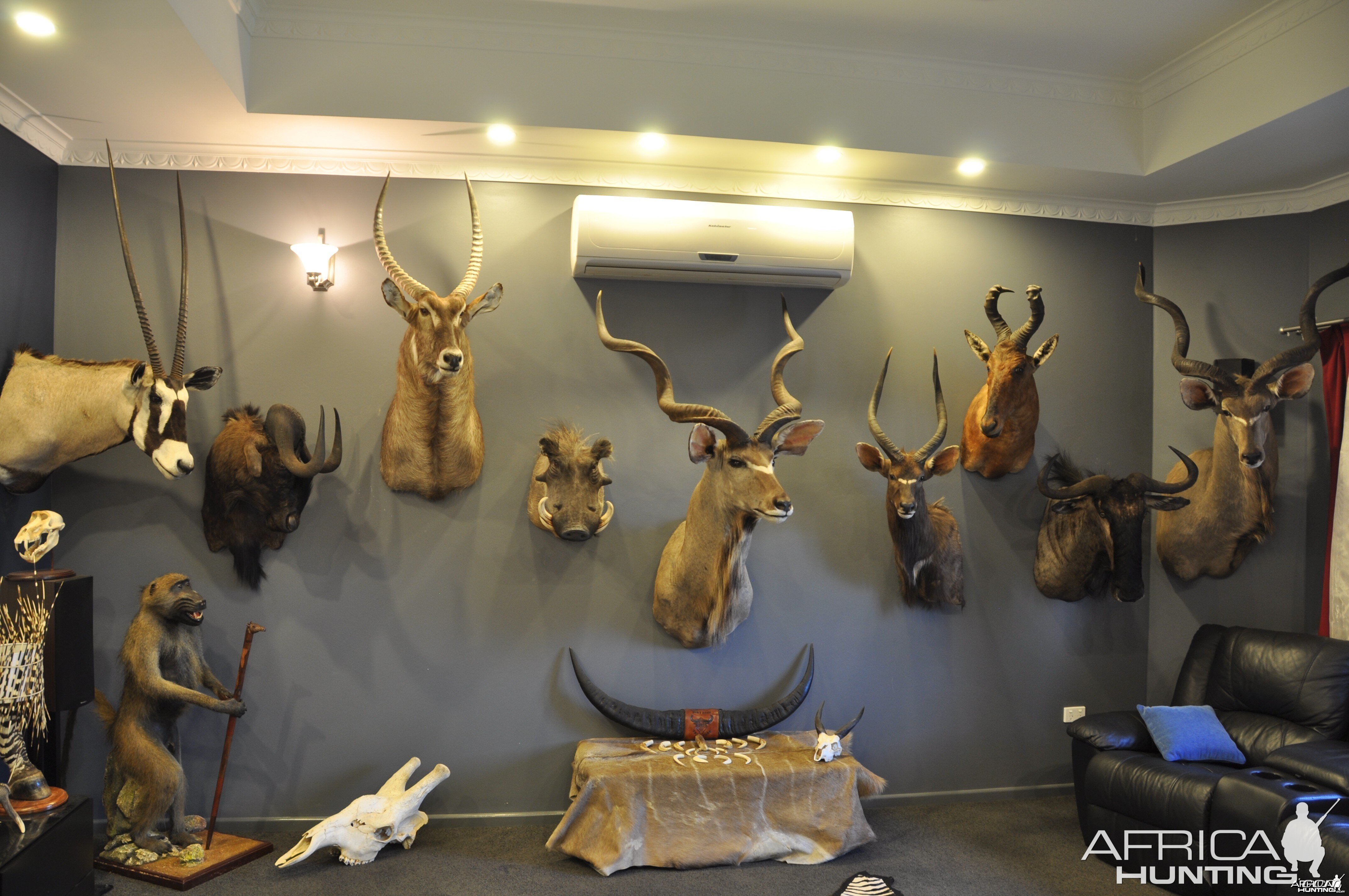 trophy room