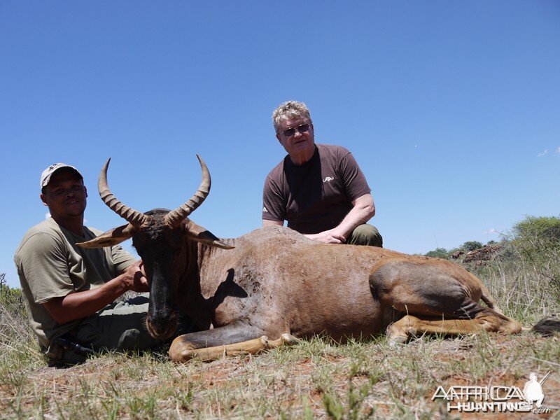 Tsessebe hunt with Wintershoek Johnny Vivier Safaris