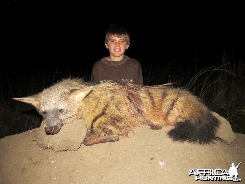 Umdende Hunting Safaris Aardwolf