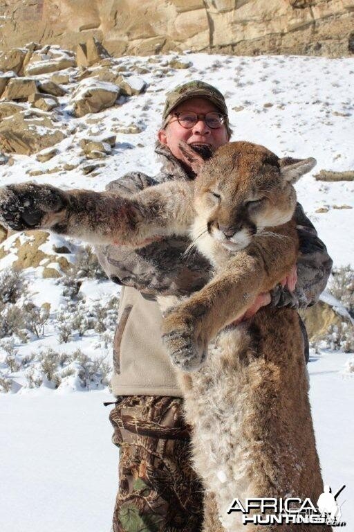 Utah Cougar Hunts