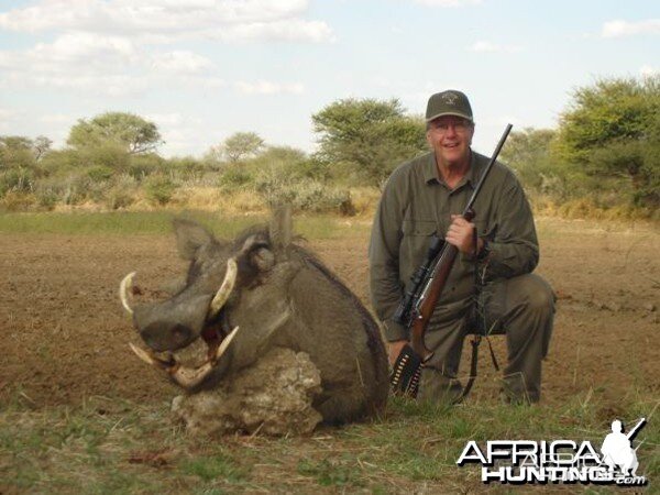 Warthog hunted at Westfalen Hunting Safaris Namibia